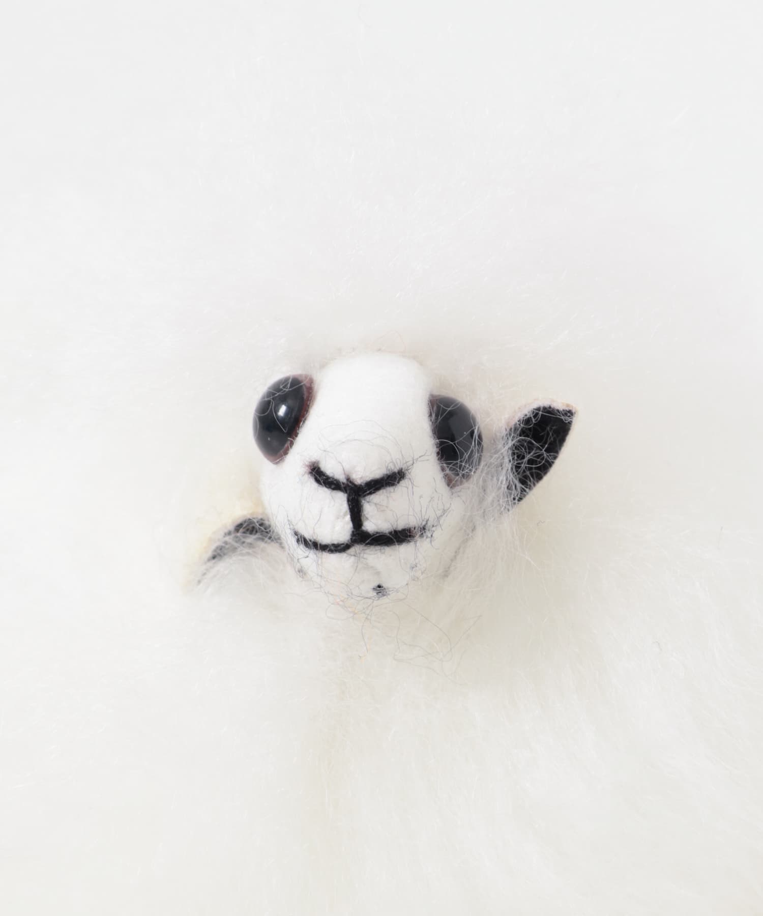 COSY　SHEEP WHITE FREE