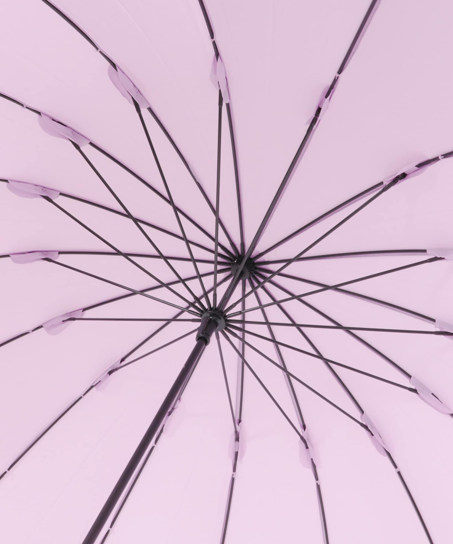 Wpc.　16本骨ソリッド PINK one