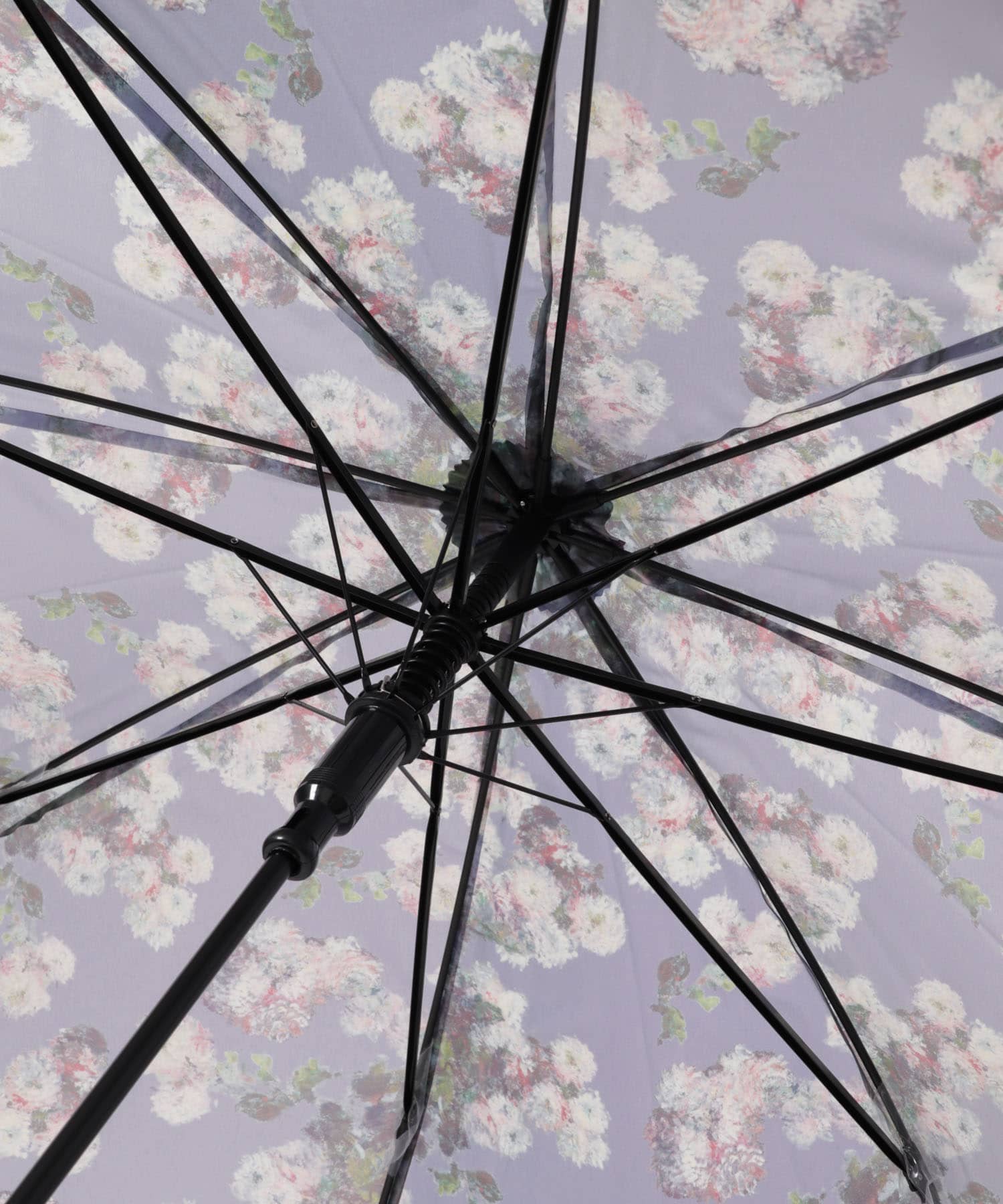 モネ/キク