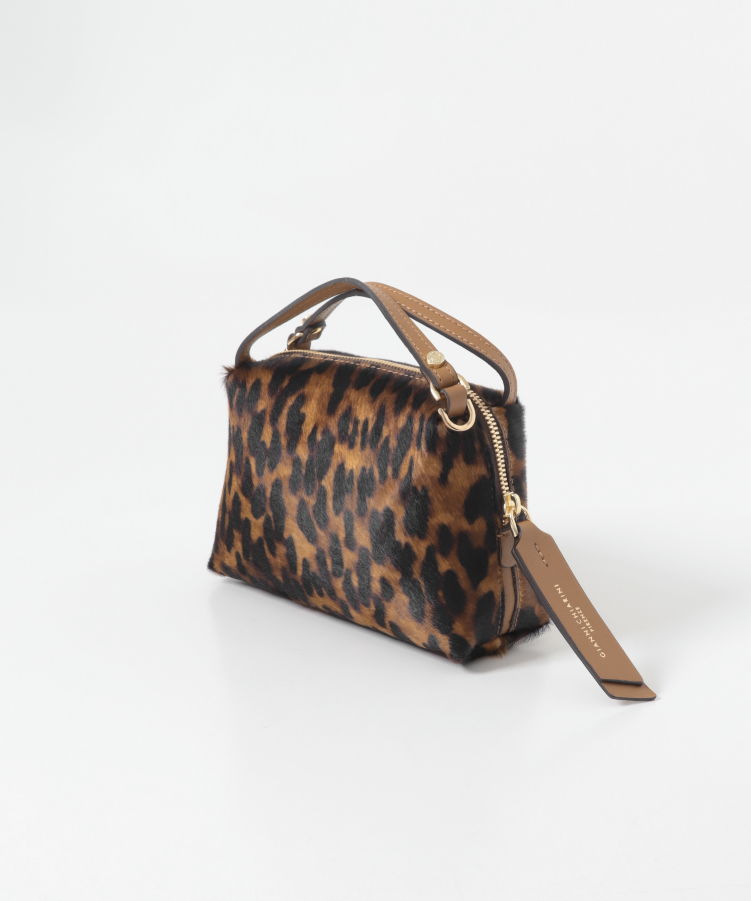 GIANNI CHIARINI　ALIFA S LINCECUOIO -