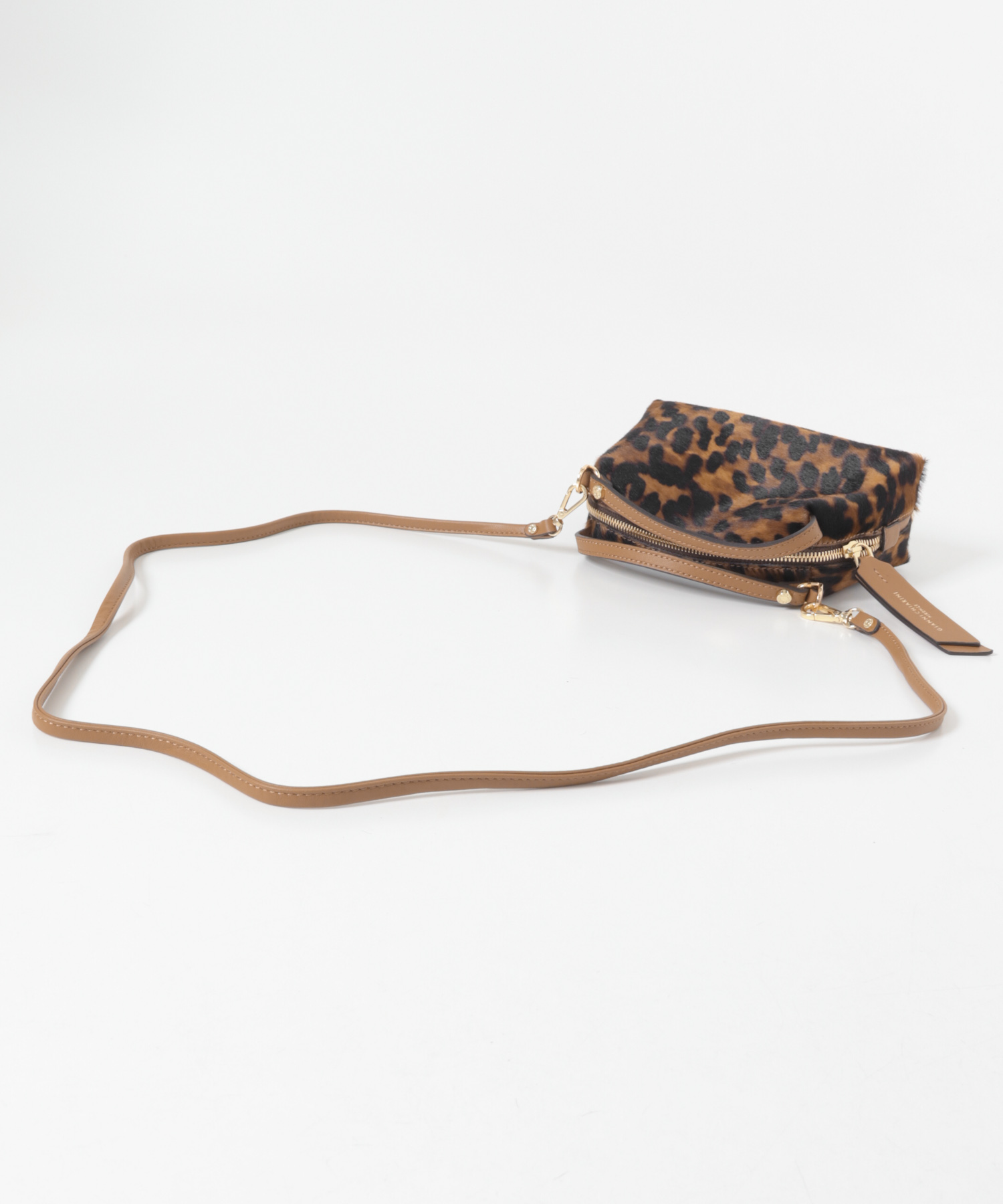 GIANNI CHIARINI　ALIFA S LINCECUOIO -