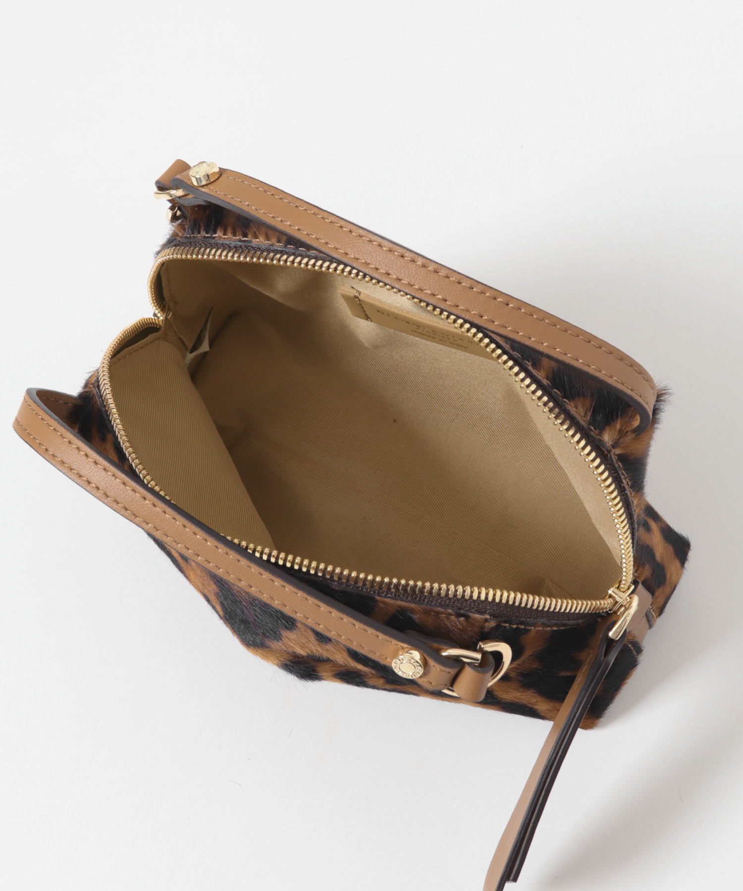 GIANNI CHIARINI　ALIFA S LINCECUOIO -