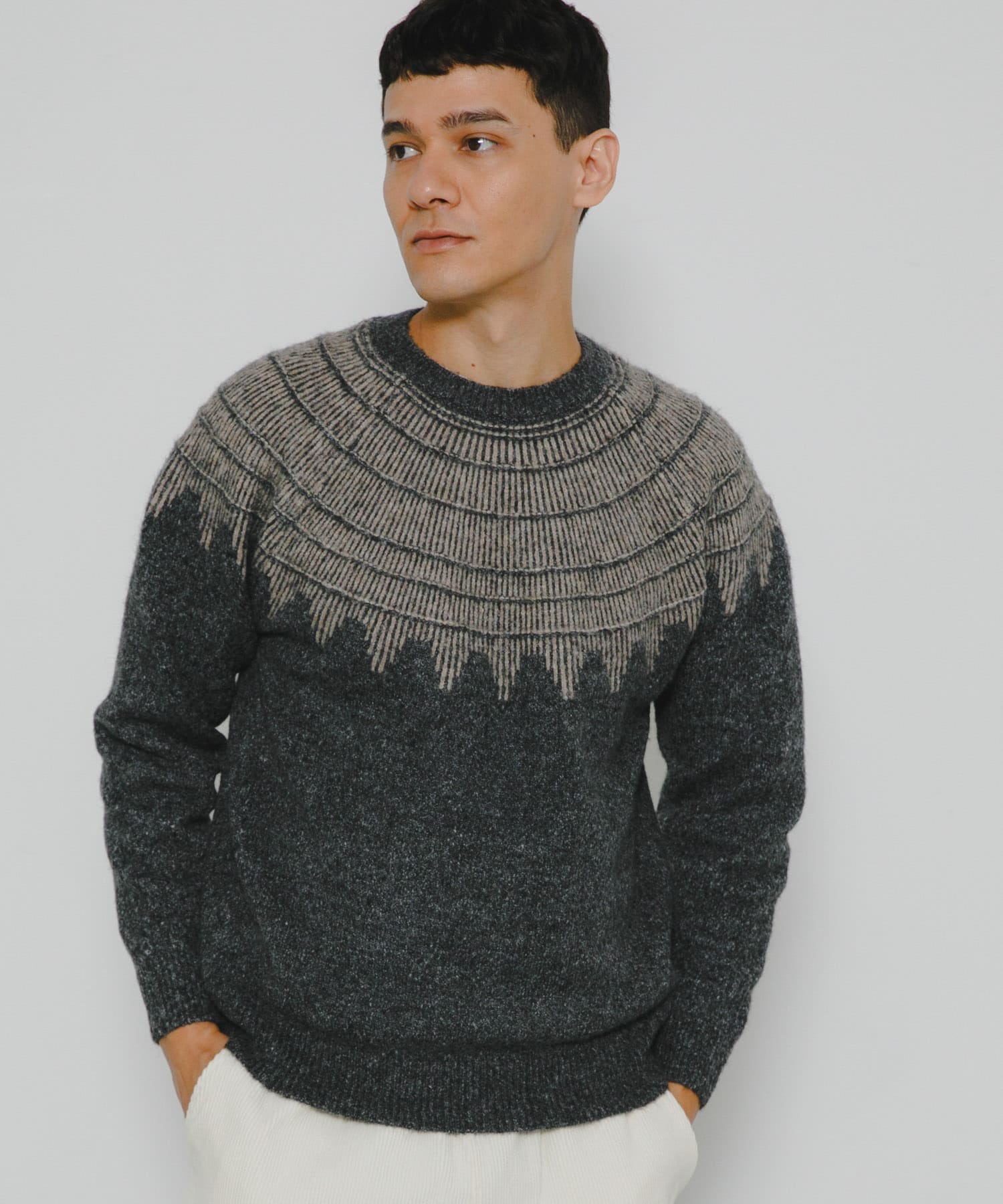 フェアアイル柄ニットプルオーバー