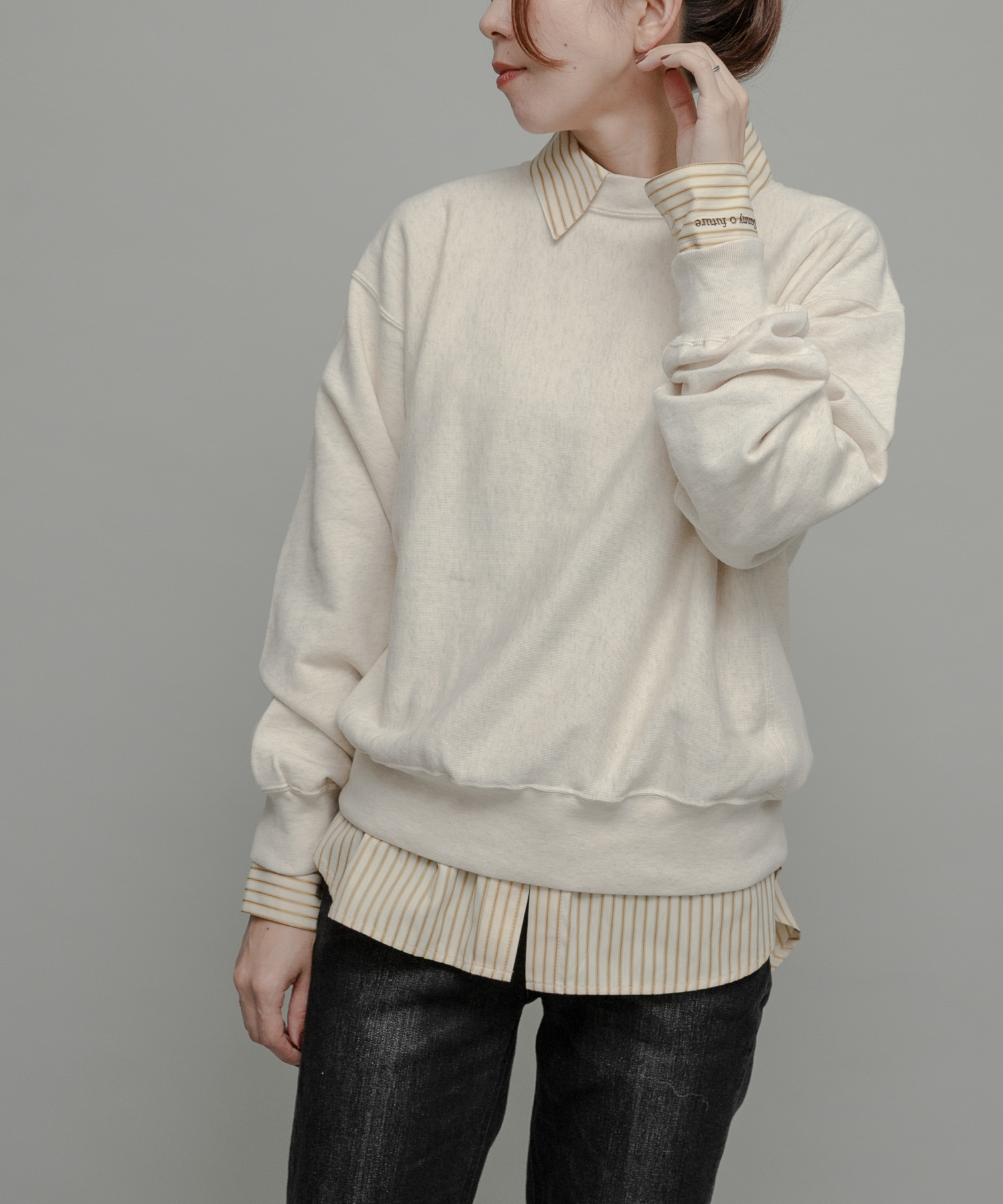 Champion REVERSE WEAVE CREW NECK