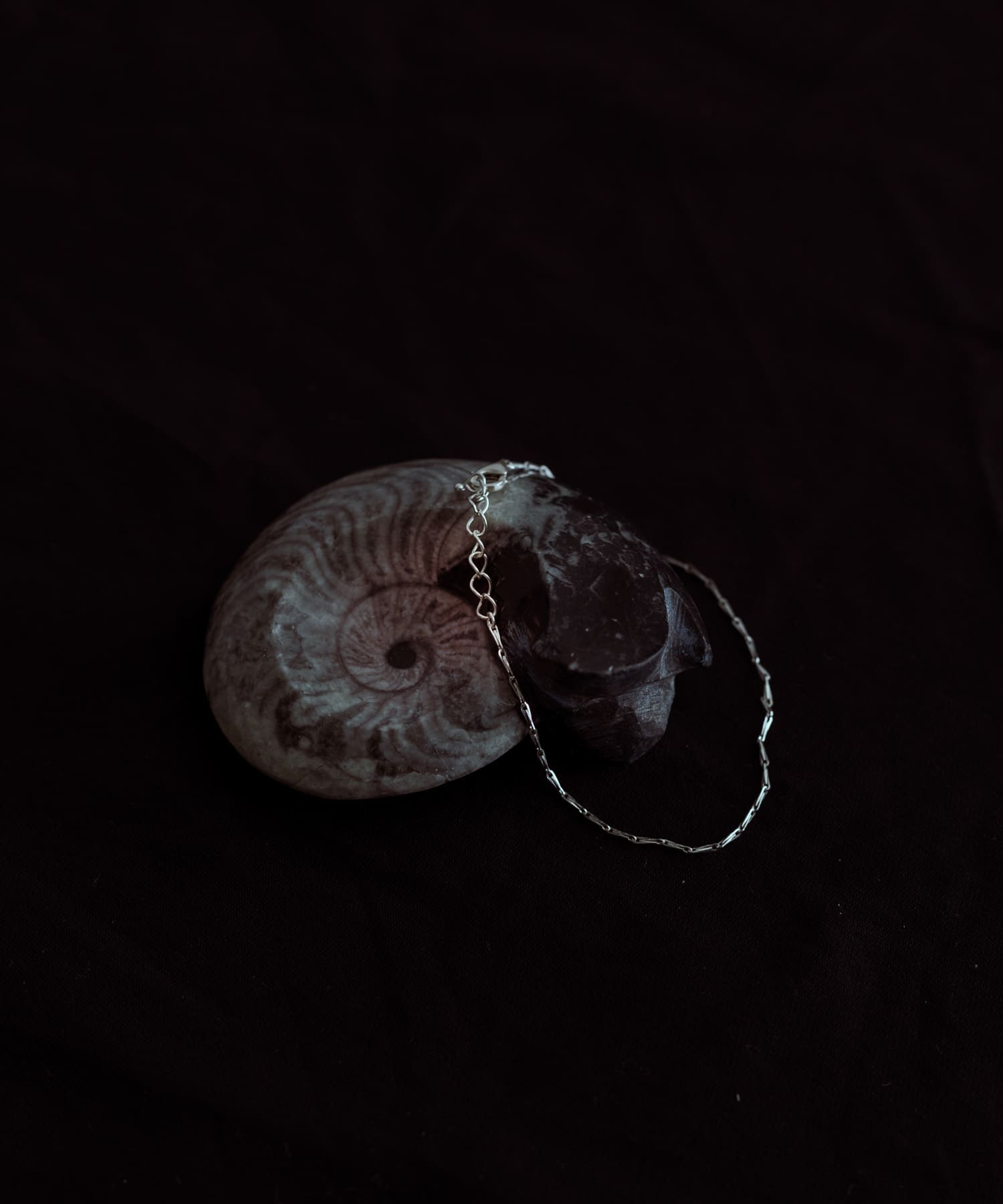 SLV