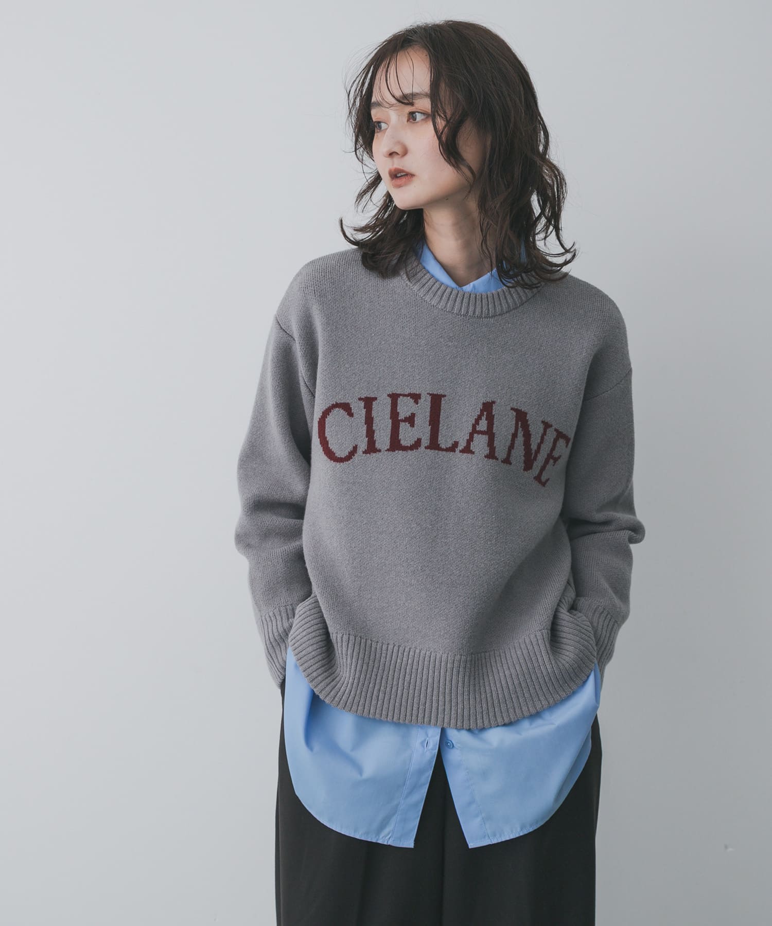 『洗濯可』ジャガードロゴニット