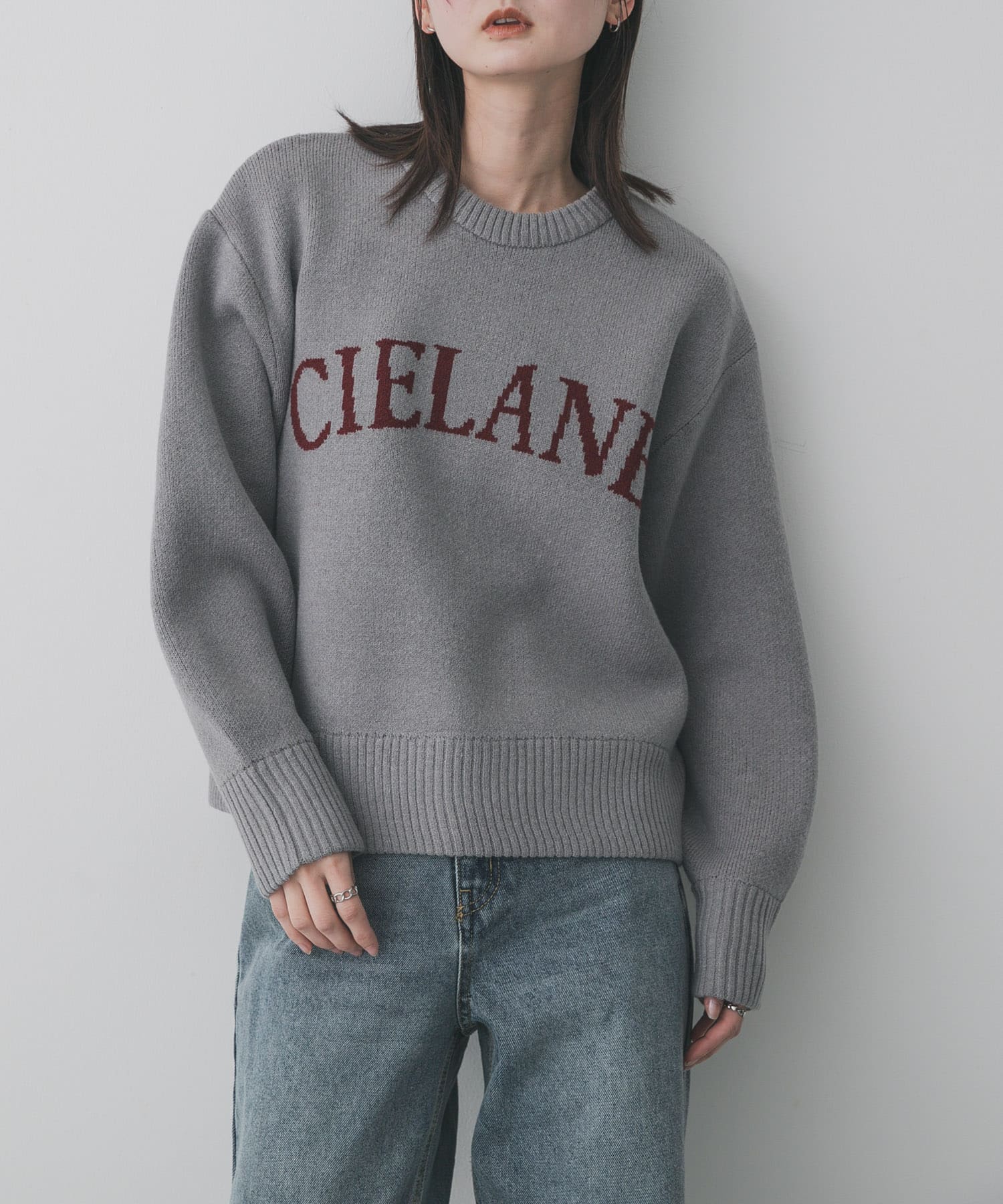 『洗濯可』ジャガードロゴニット