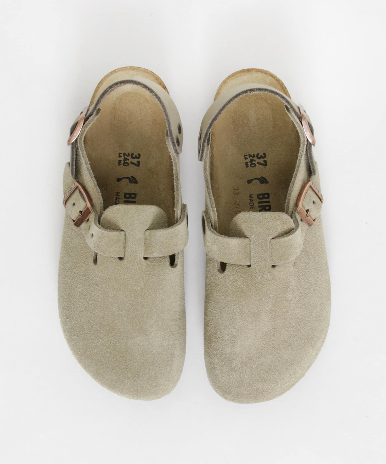 TAUPE