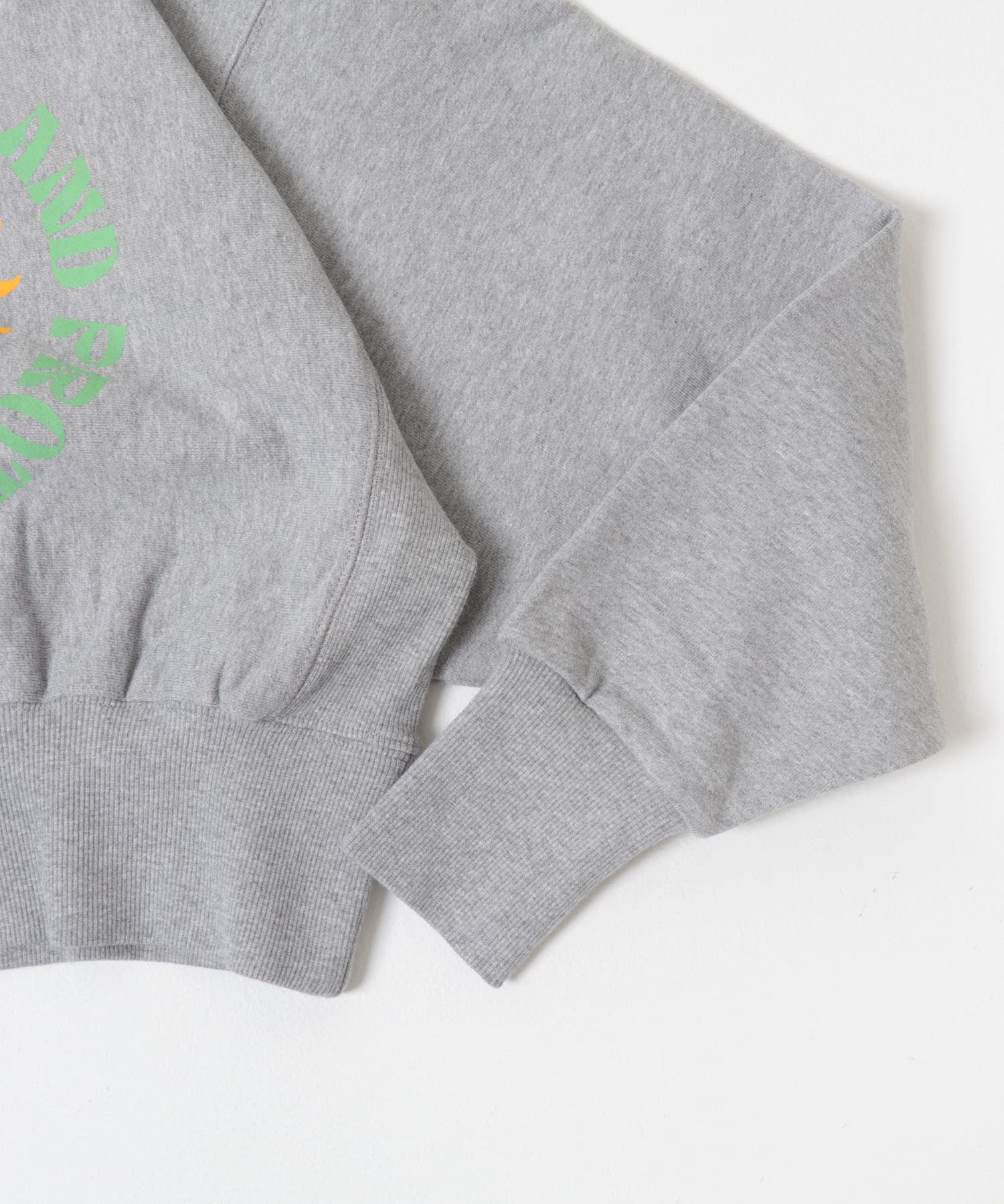 PARKS PROJECT　Mt.FUJI No.4 Sweat-Free GRAY Free