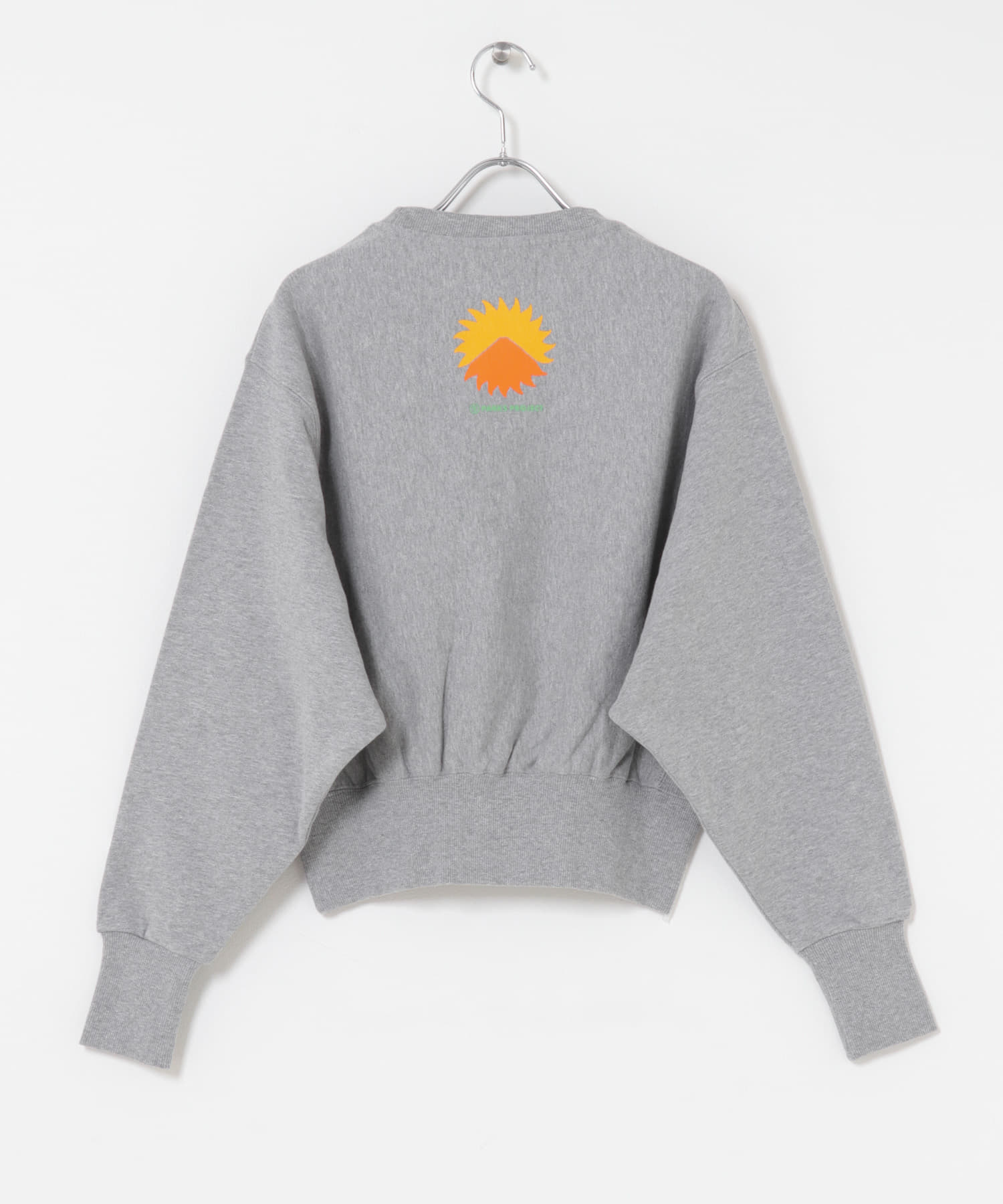 PARKS PROJECT　Mt.FUJI No.4 Sweat-Free GRAY Free