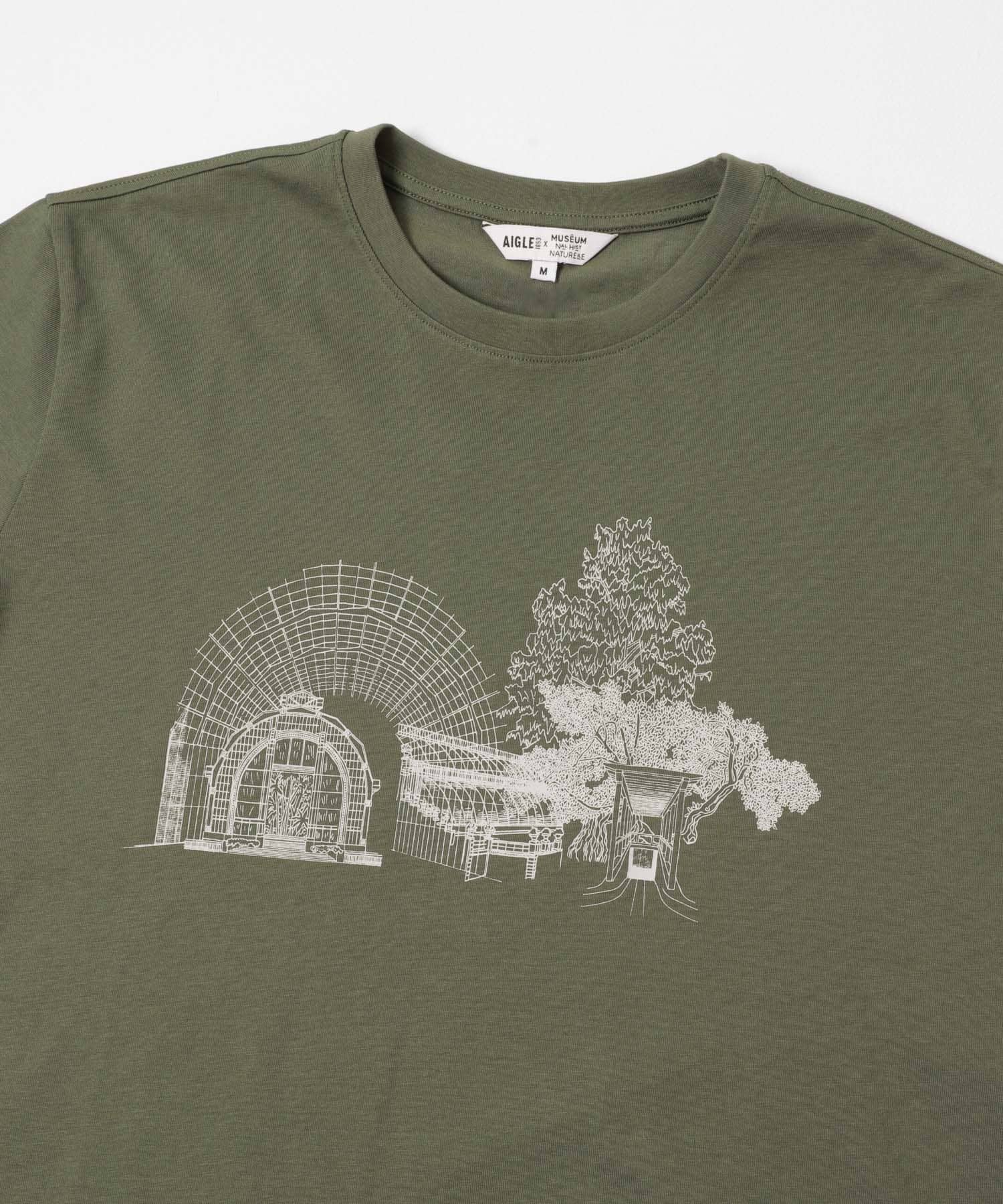 AIGLE　吸水速乾 クルーネックTシャツ AVOCAT XS