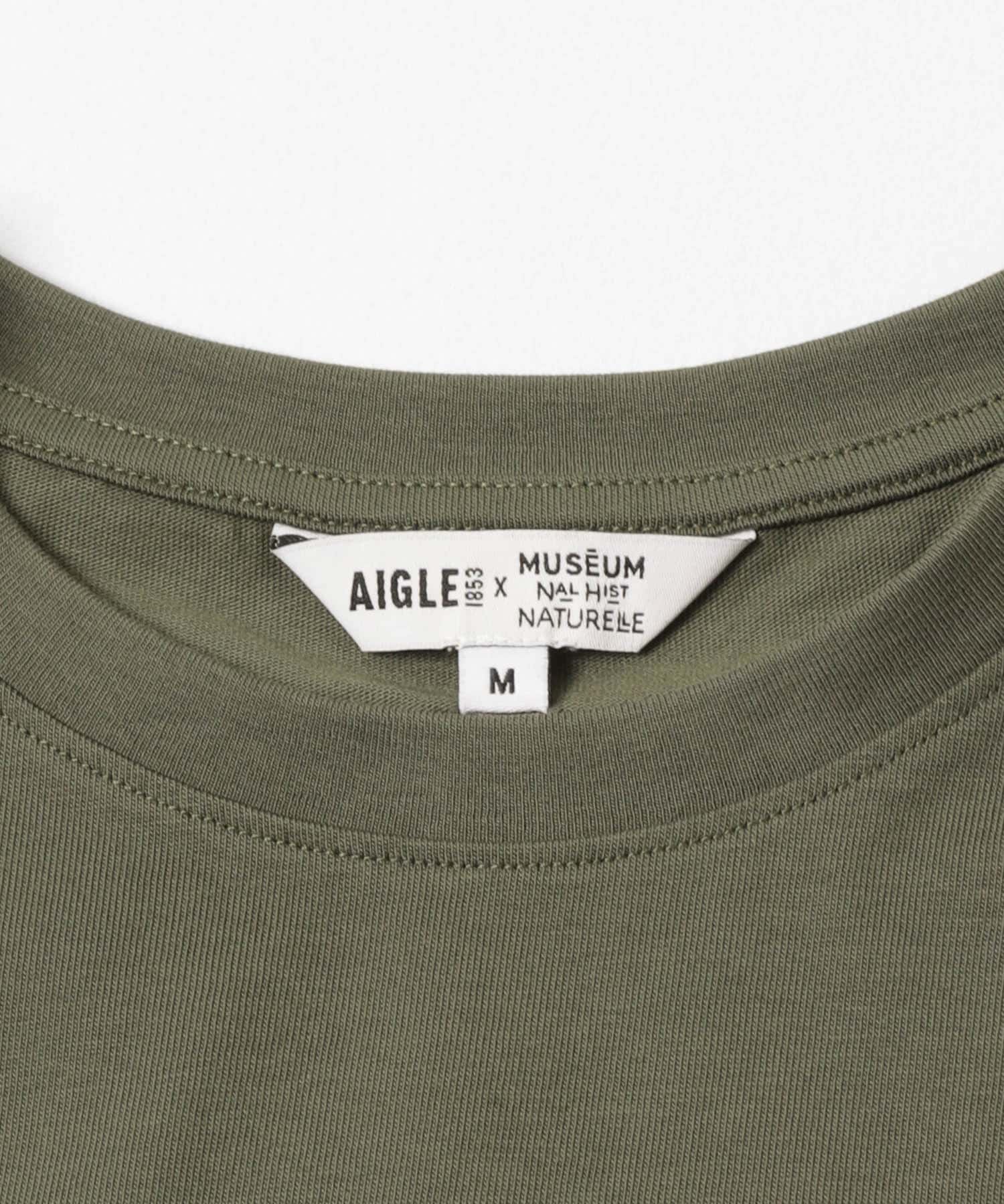 AIGLE　吸水速乾 クルーネックTシャツ AVOCAT XS