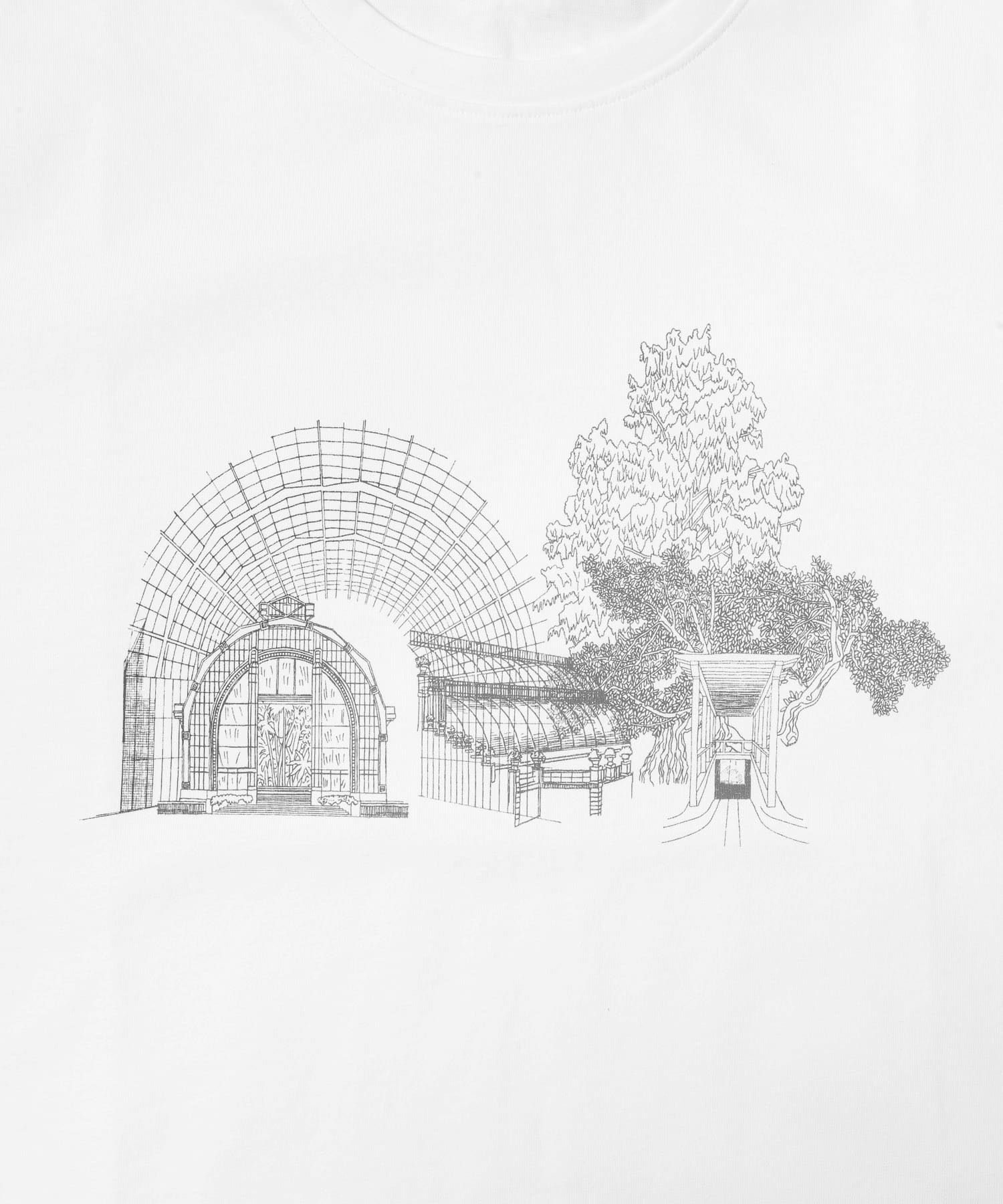 AIGLE　吸水速乾 クルーネックTシャツ BLANC XS