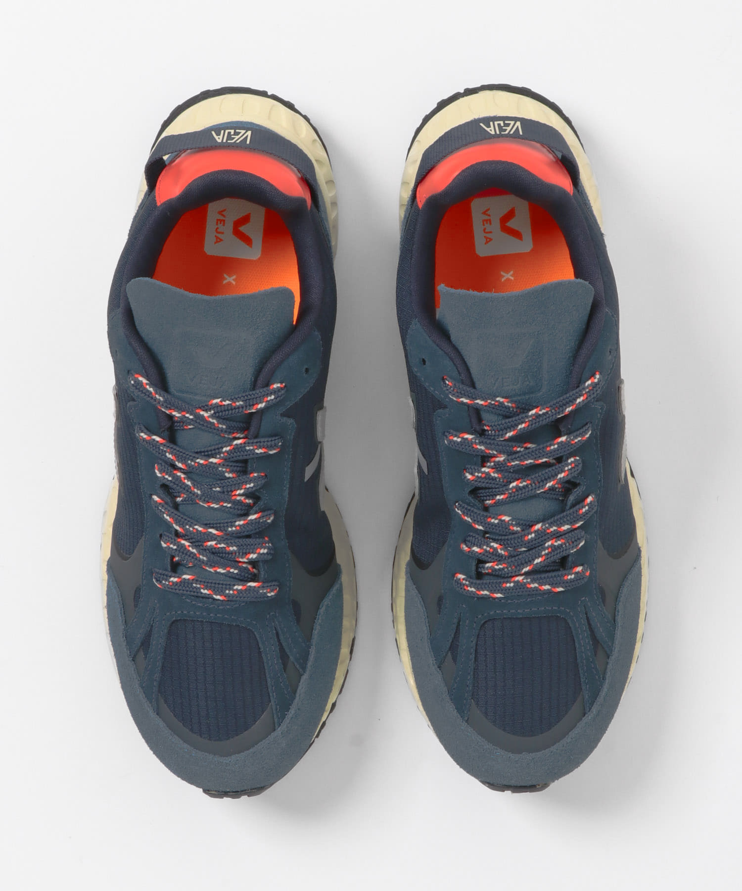 F/CE×VEJA　CONDOR ROYALE NAUTICO 37