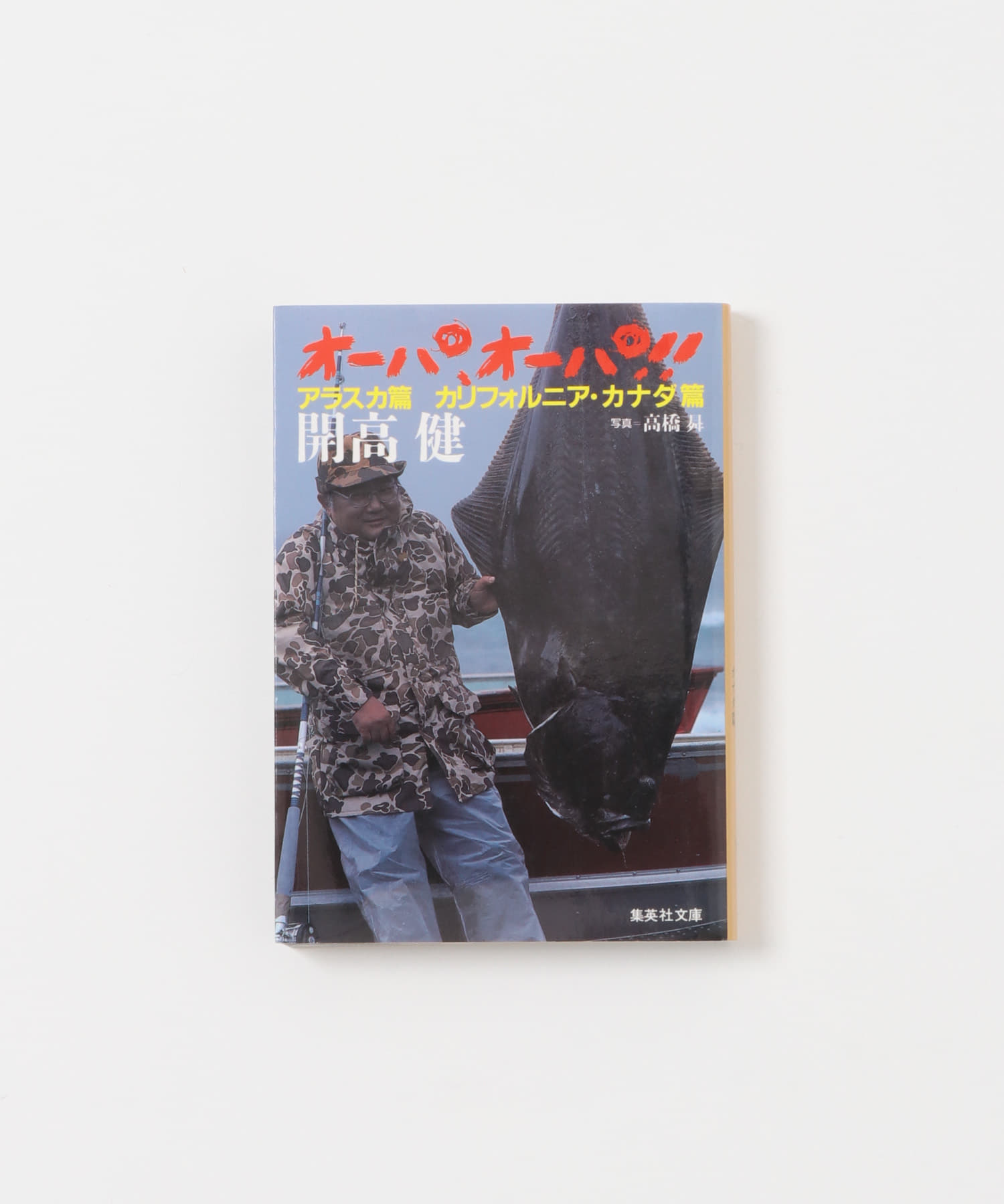 その他20