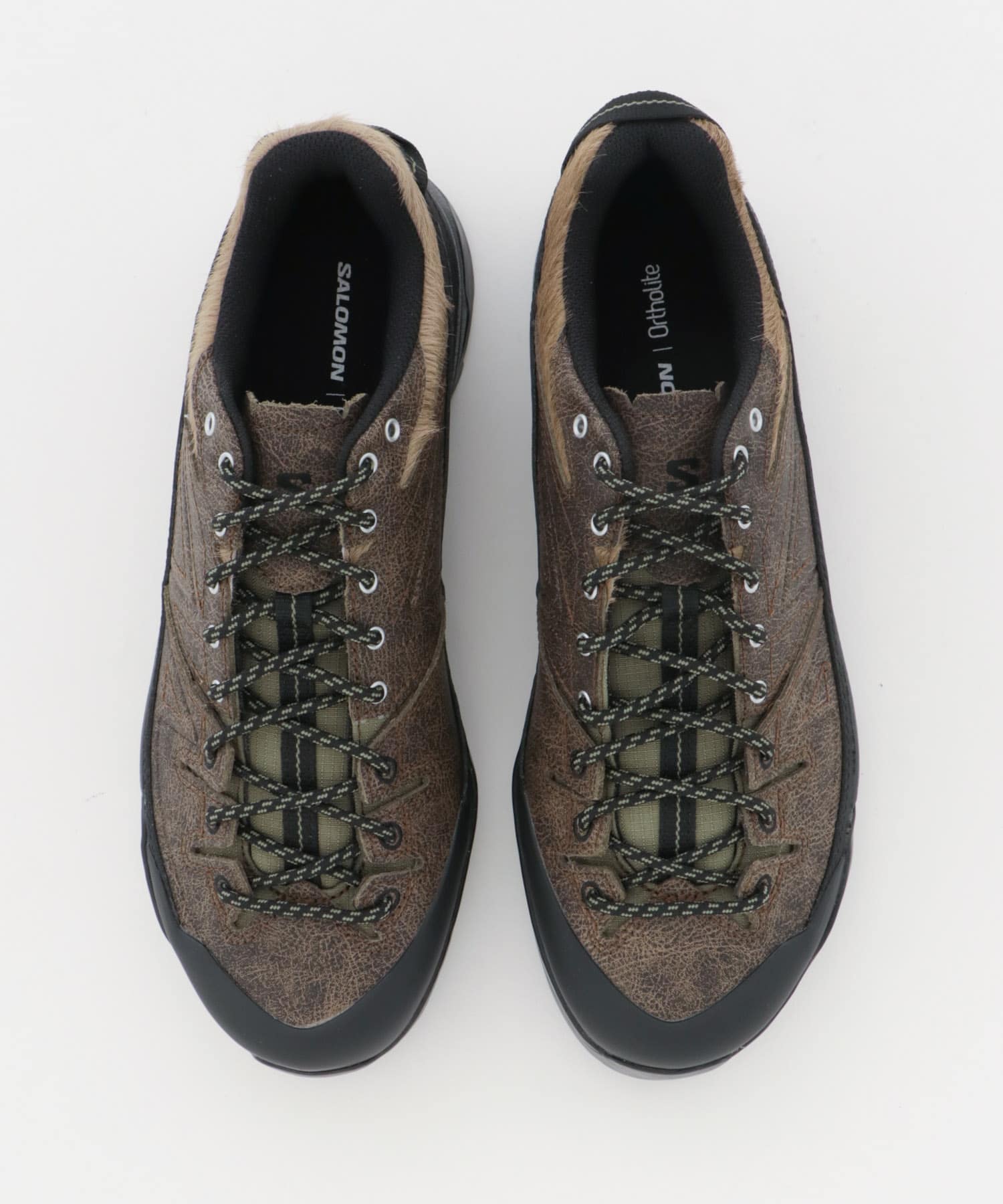 SALOMON　X-ALP LOW D.LTR D E/BK/DLG 26