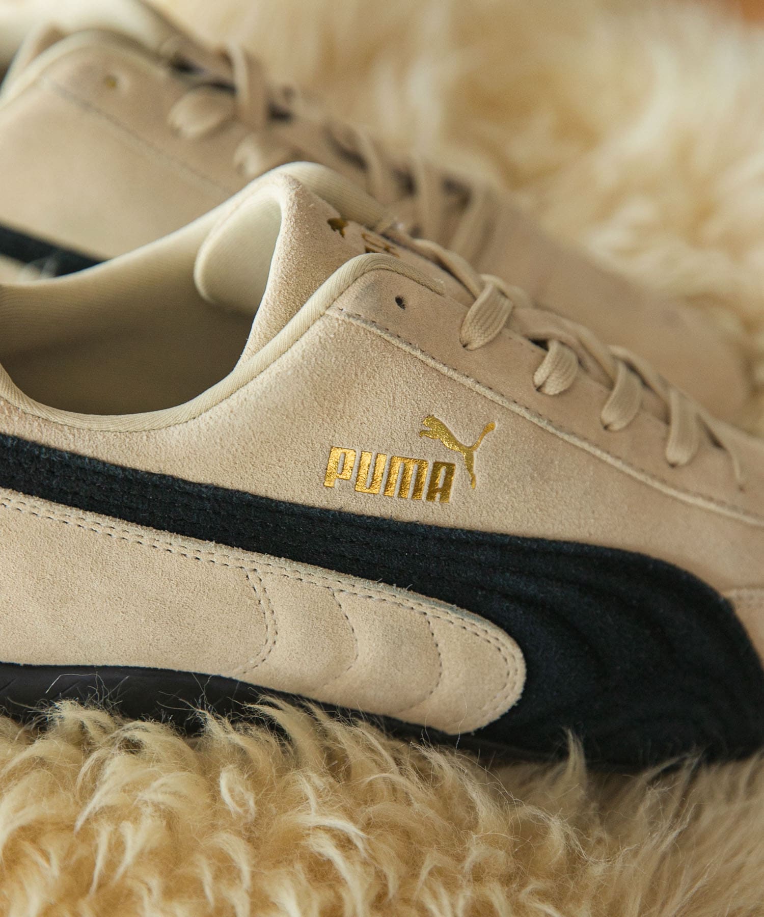 その他 puman その他 puman 別注』PUMA×URBAN RESEARCH SPEEDCAT(23 T ALMOND): シューズ