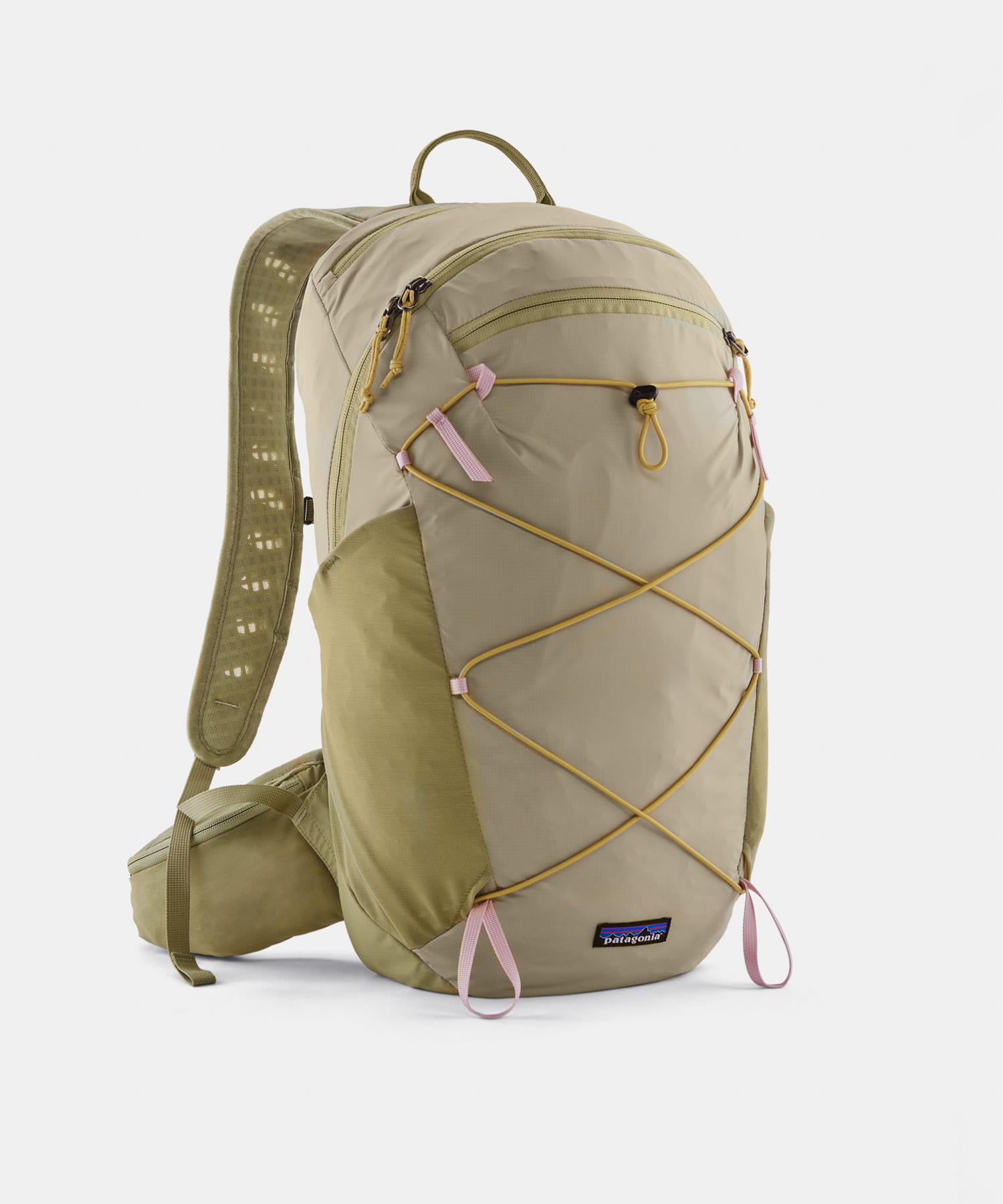 patagonia　TERRAVIAPACK22L