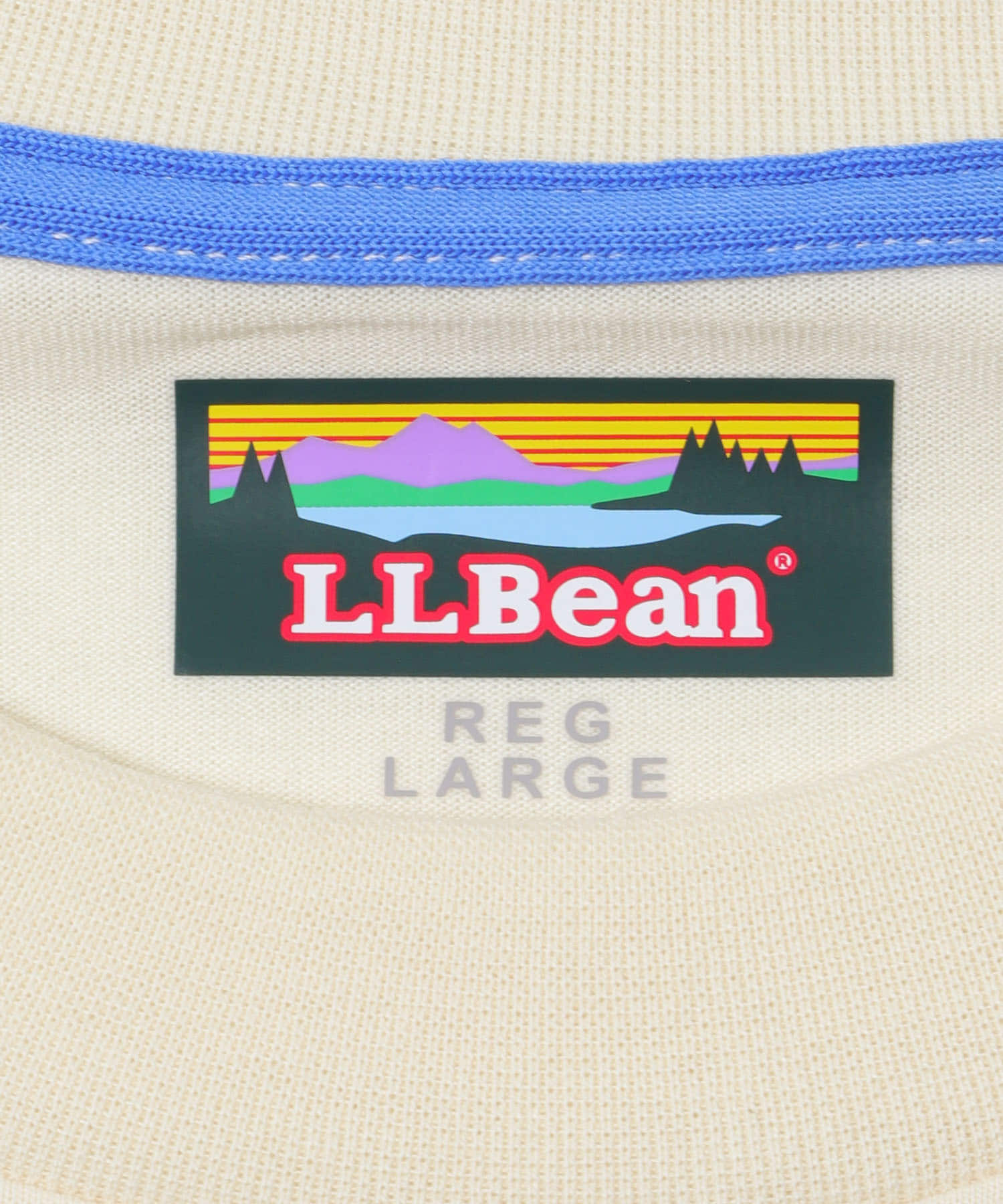 L.L.Bean JAPAN EDITION　DOVER FOXCROFT SHORT-SLEEVE T-SHIRTS H WHALE M