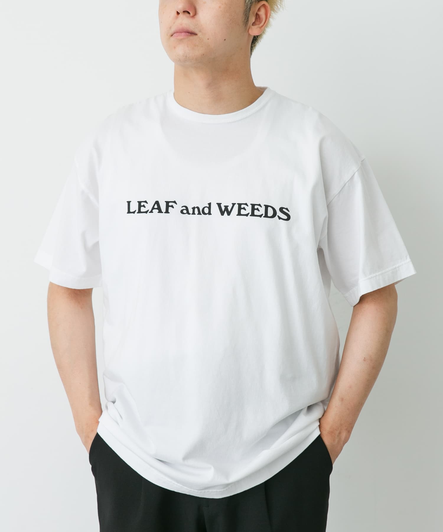 SASSAFRAS　LEAF AND WEEDS T 1/2