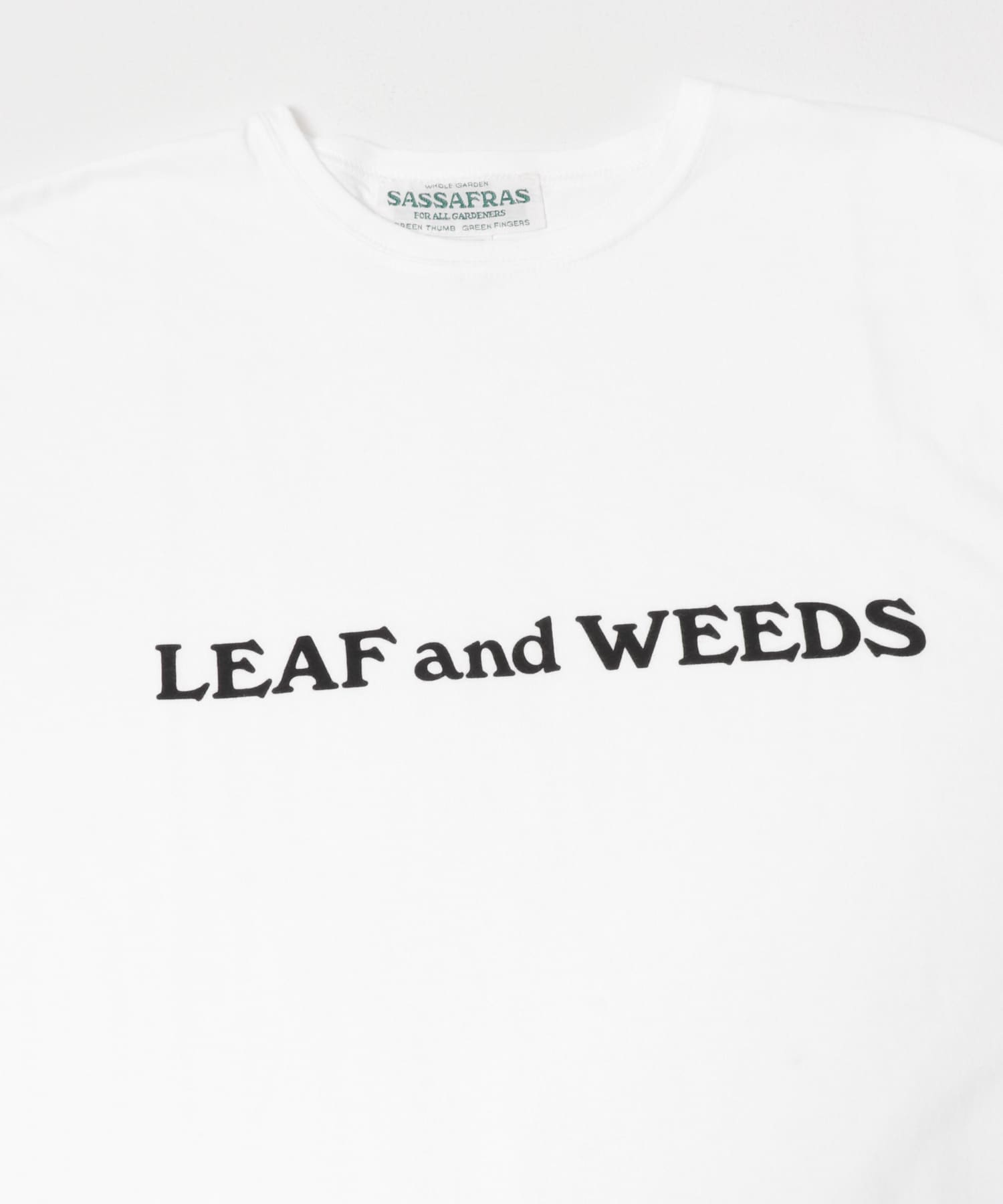 SASSAFRAS　LEAF AND WEEDS T 1/2 WHITE M