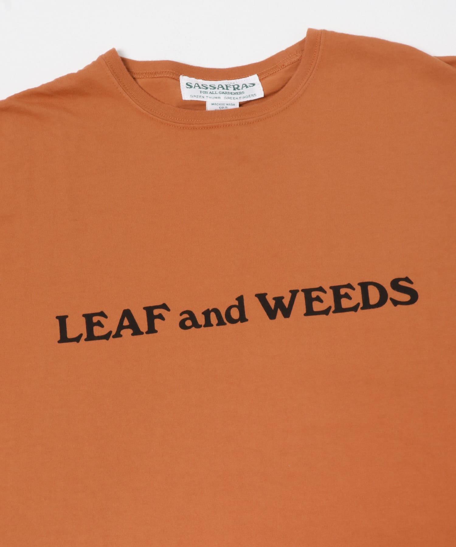 SASSAFRAS　LEAF AND WEEDS T 1/2 ORANGE M