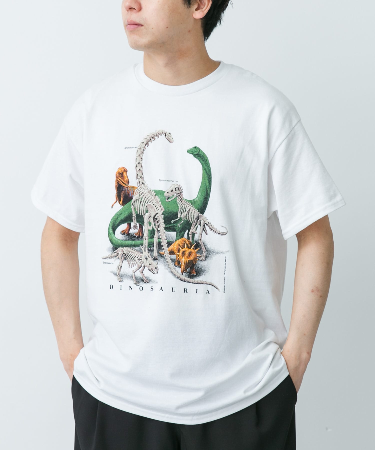 DINOSAURIA