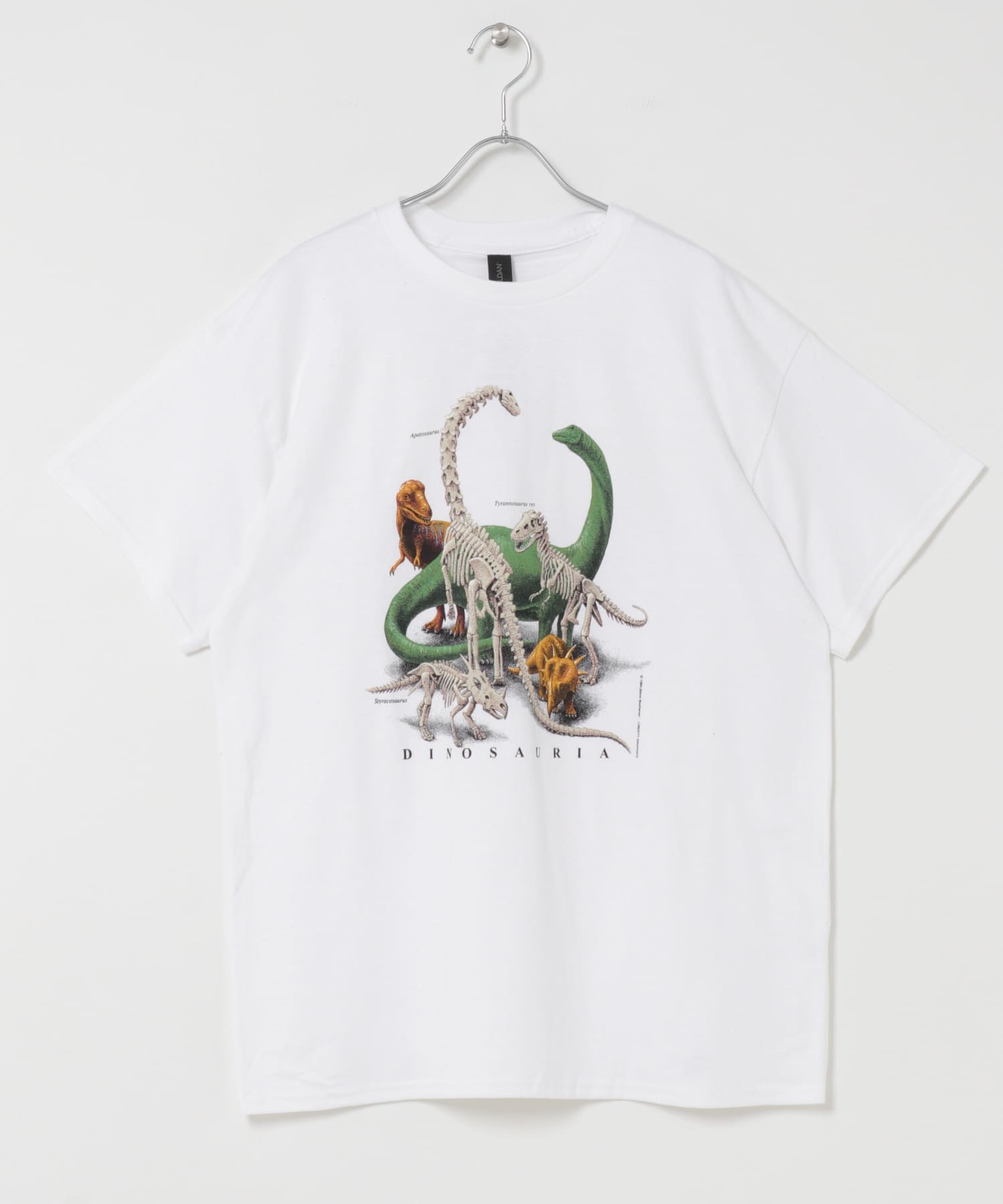 DINOSAURIA