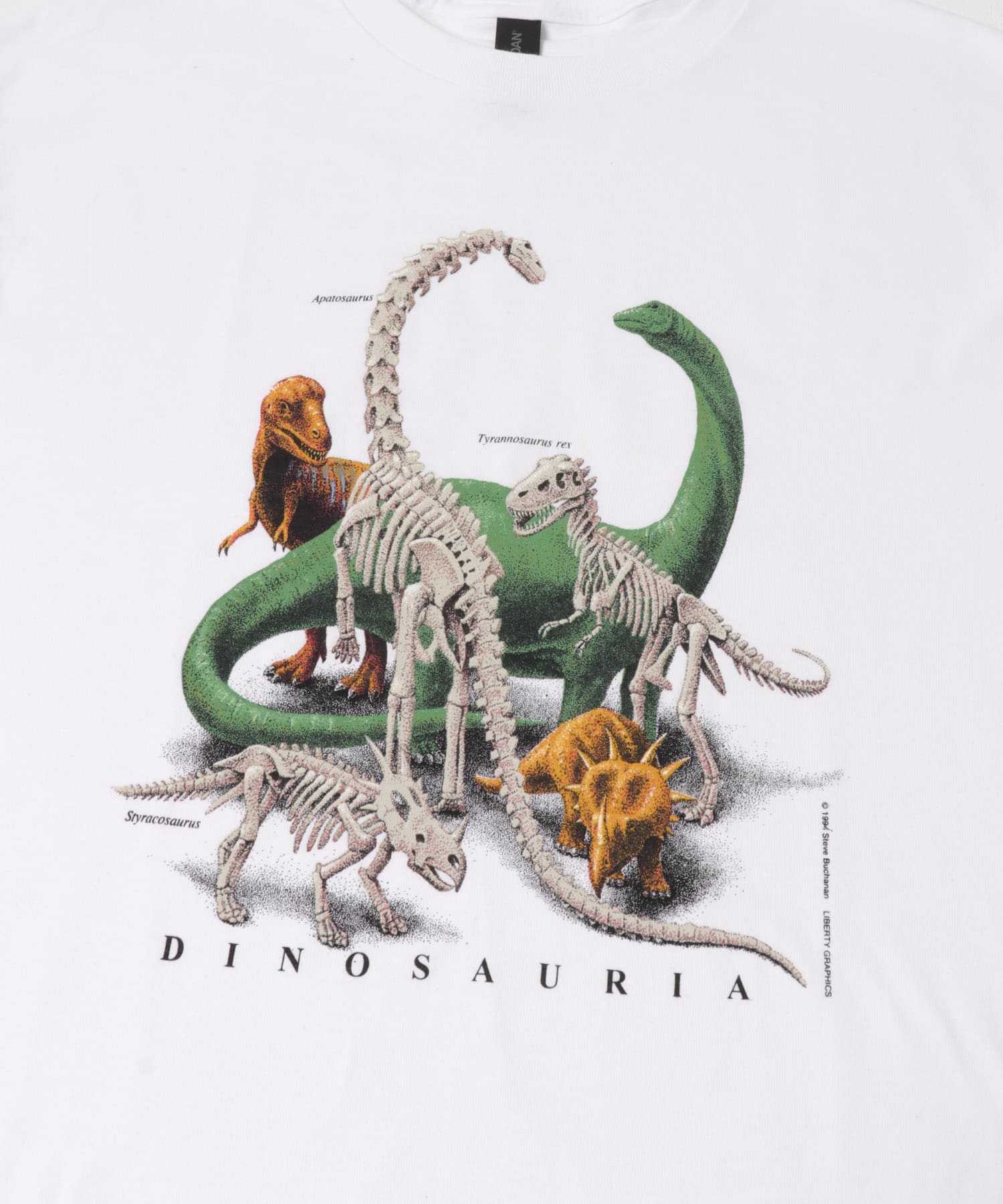 DINOSAURIA