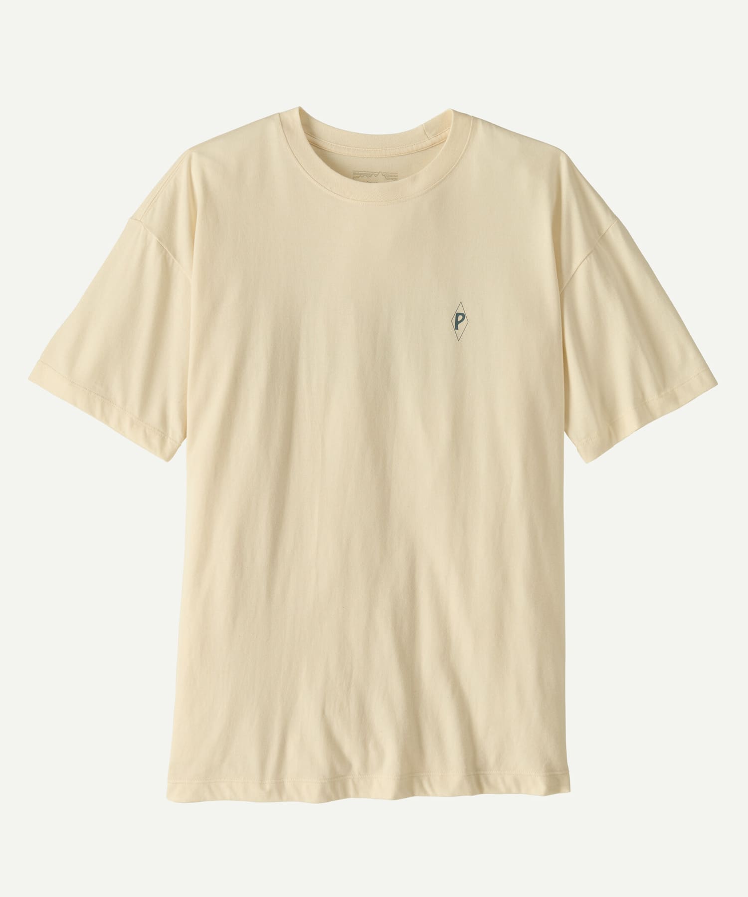patagonia　WSWATERPEOPLEOVERSIZE T-SHIRTS