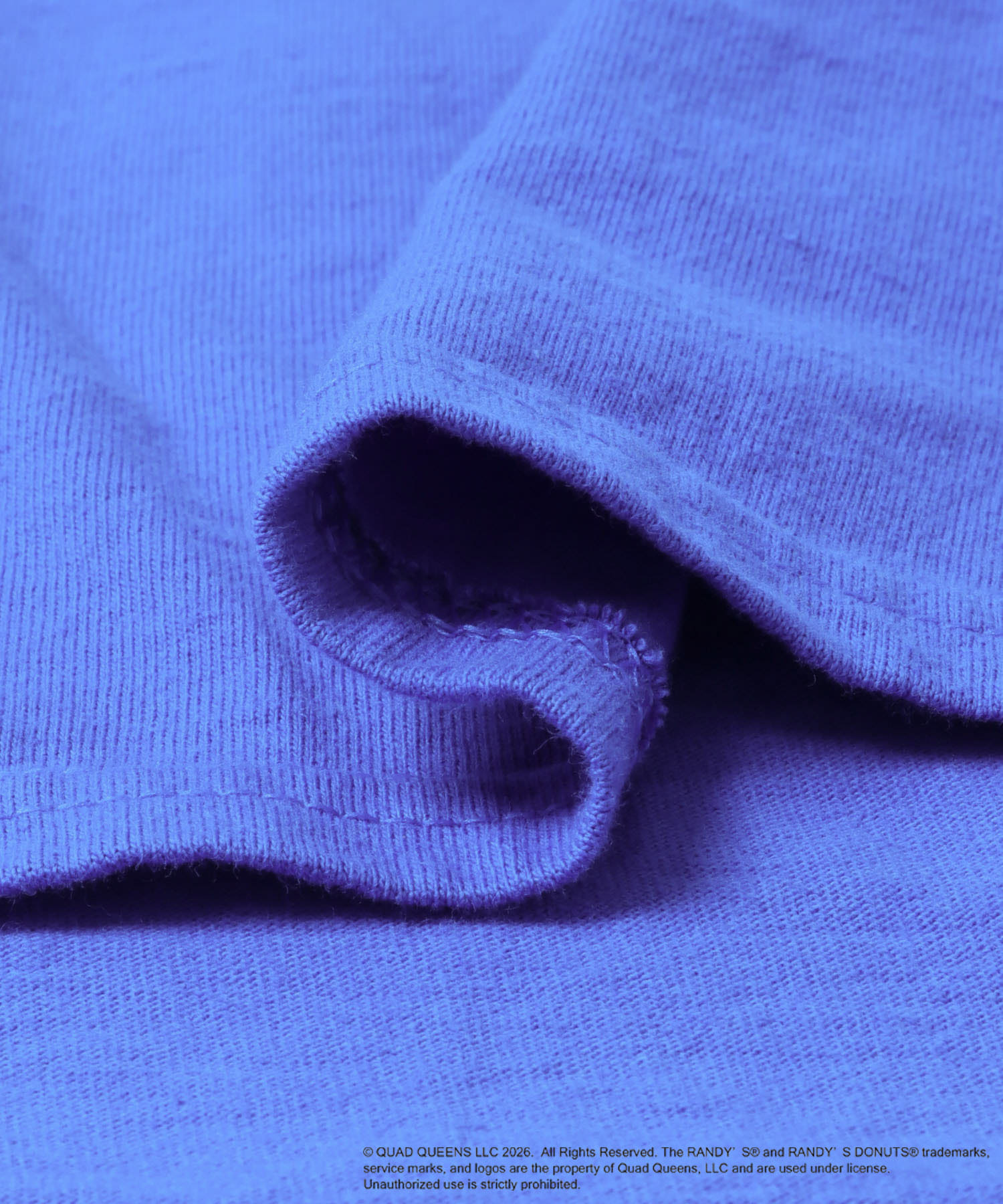 GOOD ROCK SPEED　RANDYS DONUTS TSHIRTS BLUE One