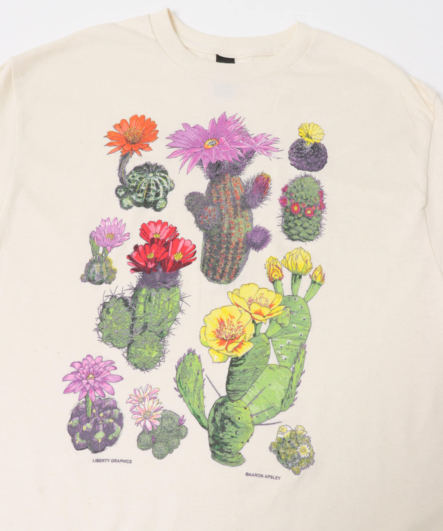 LIBERTY GRAPHICS　DESERTFLOWERST-SHIRTS Natural M