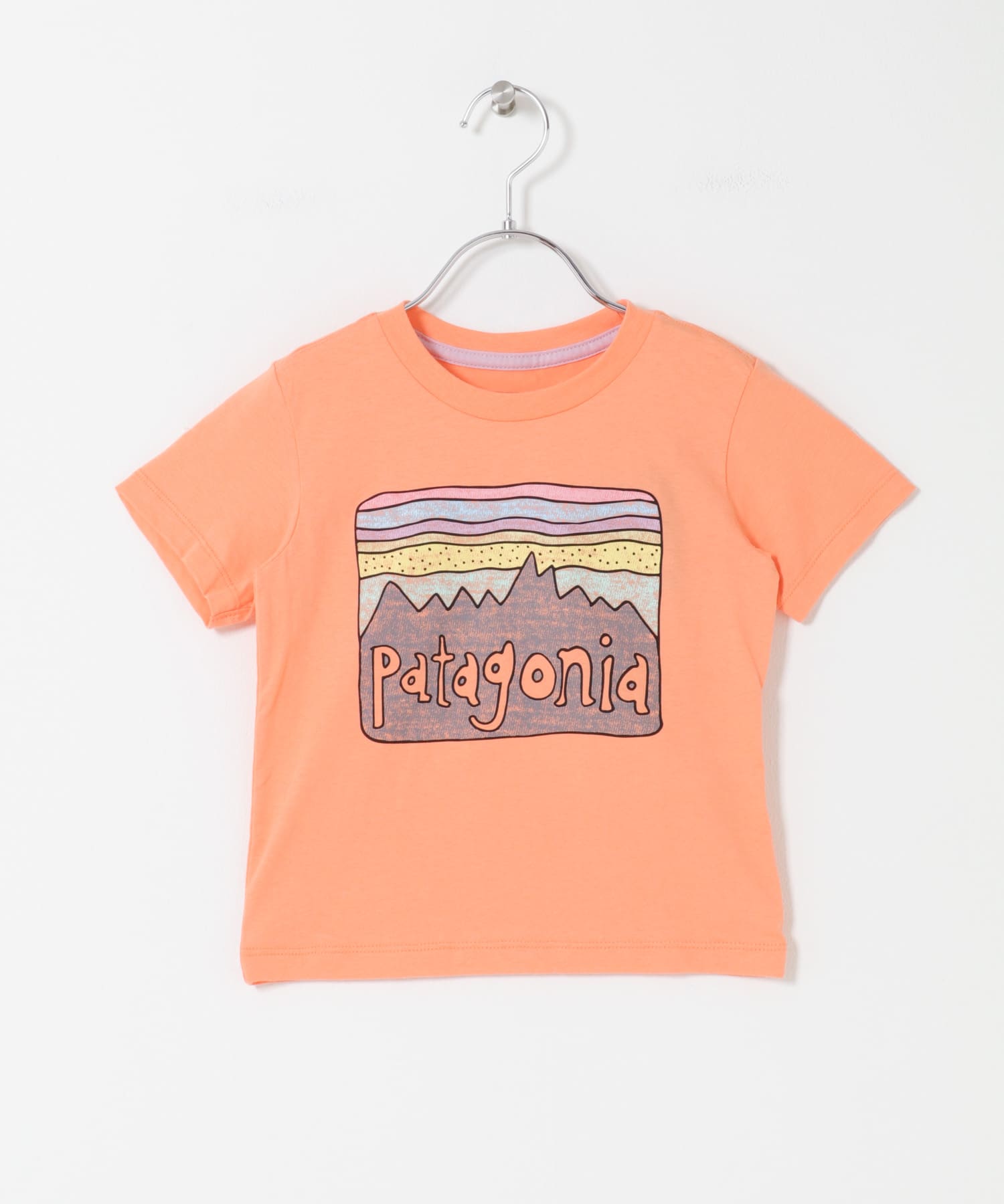 patagonia　FITZ ROY SKIES T-SHIRTS(KIDS) PCHS 3T