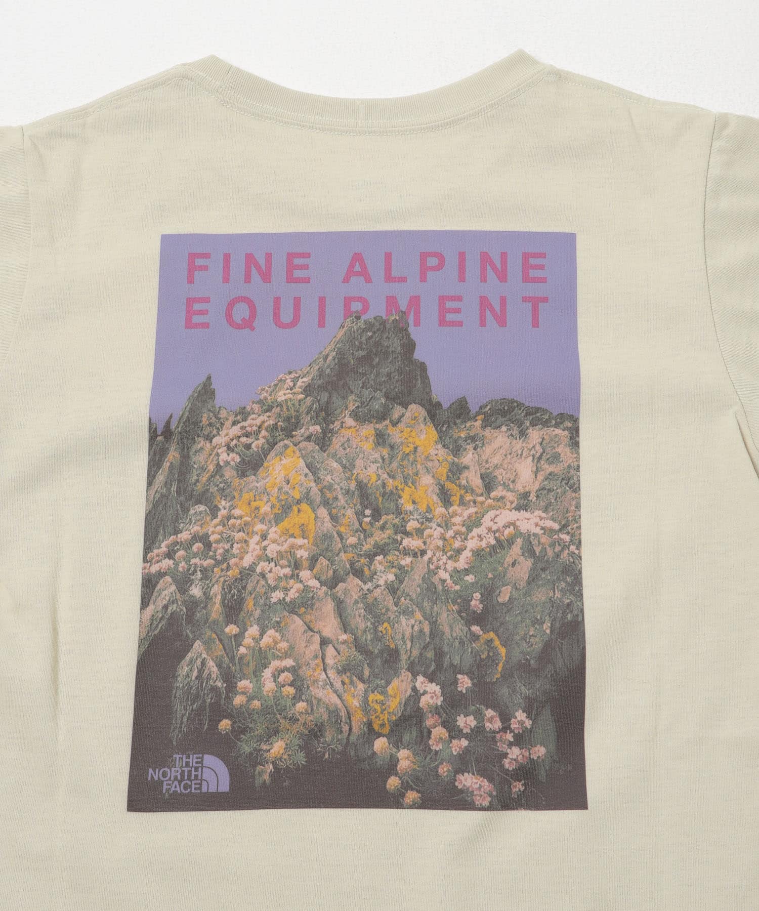 『150サイズあり』THE NORTH FACE　SHORT-SLEEVE FIELD GRAPHIC T-SHIRTS(KIDS) DE 130