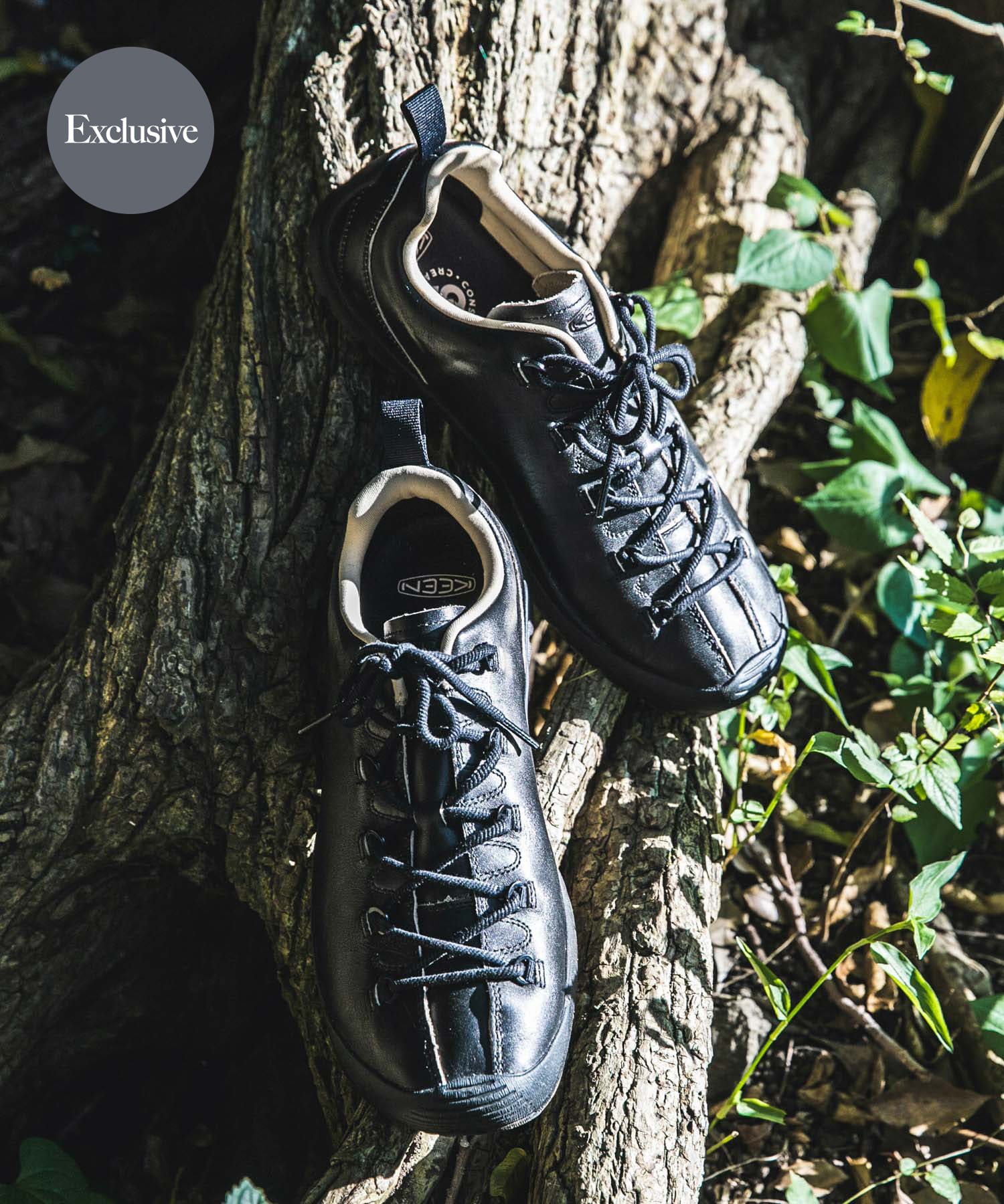 KEEN　EXCLUSIVE JASPER HW