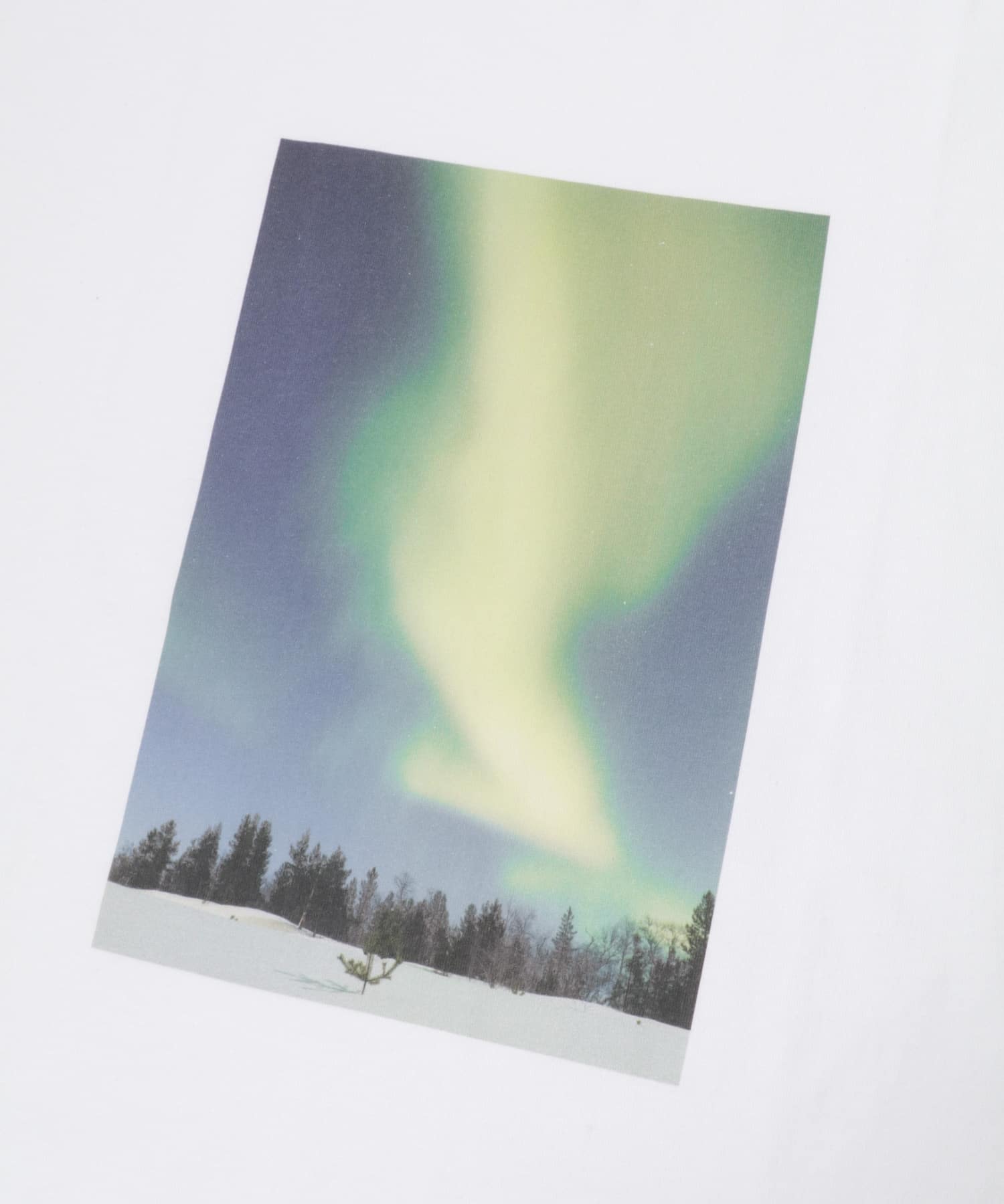 NATURE PHOTO SHORT-SLEEVE T-SHIRTS WHITE M