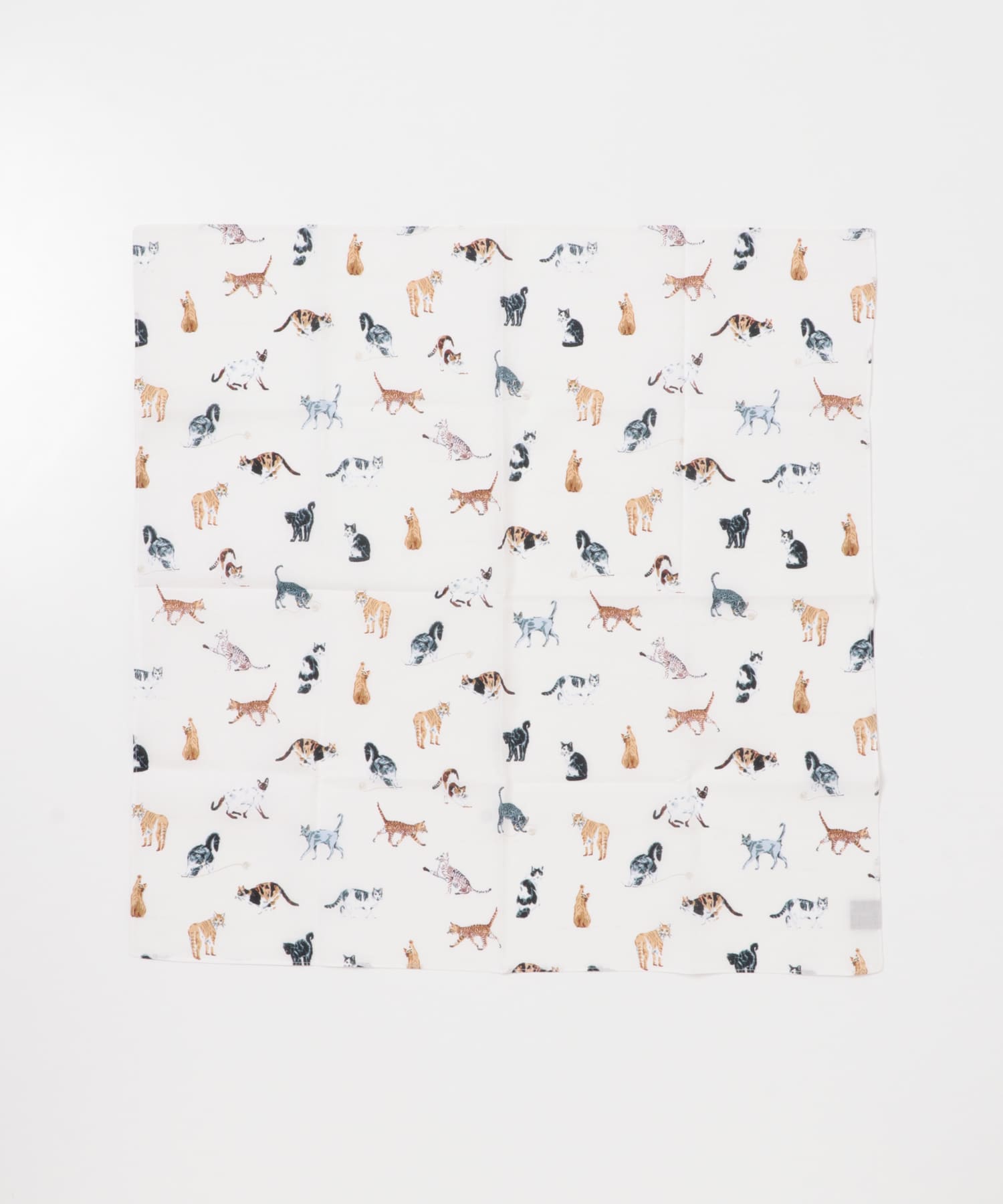 CINQ　CINQハンカチ ネコ ネコ -