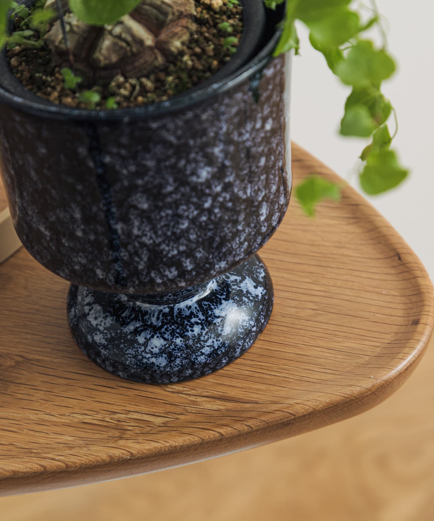 Creer　シナリースタンドポット NV － -