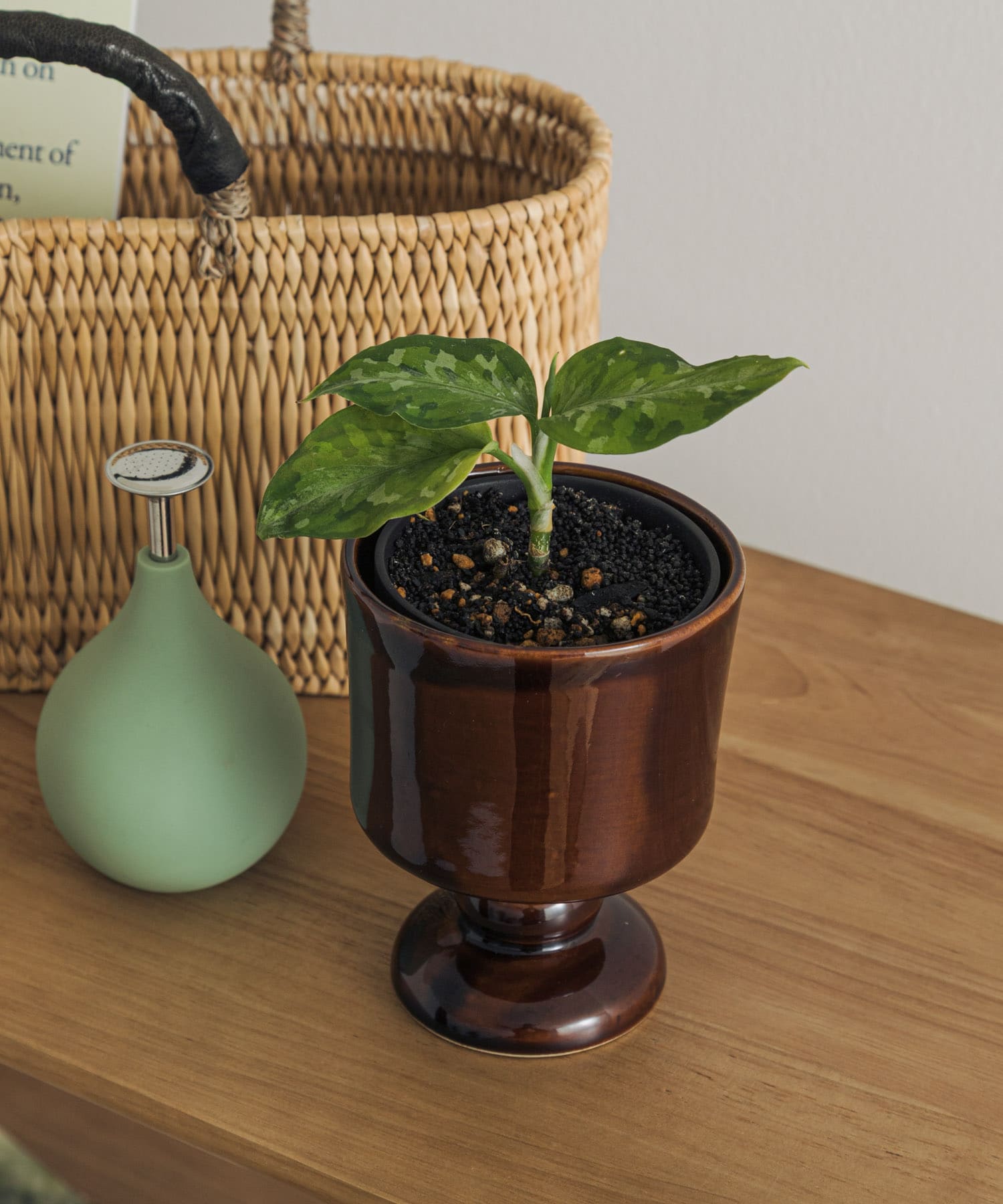 Creer　シナリースタンドポット BR － -