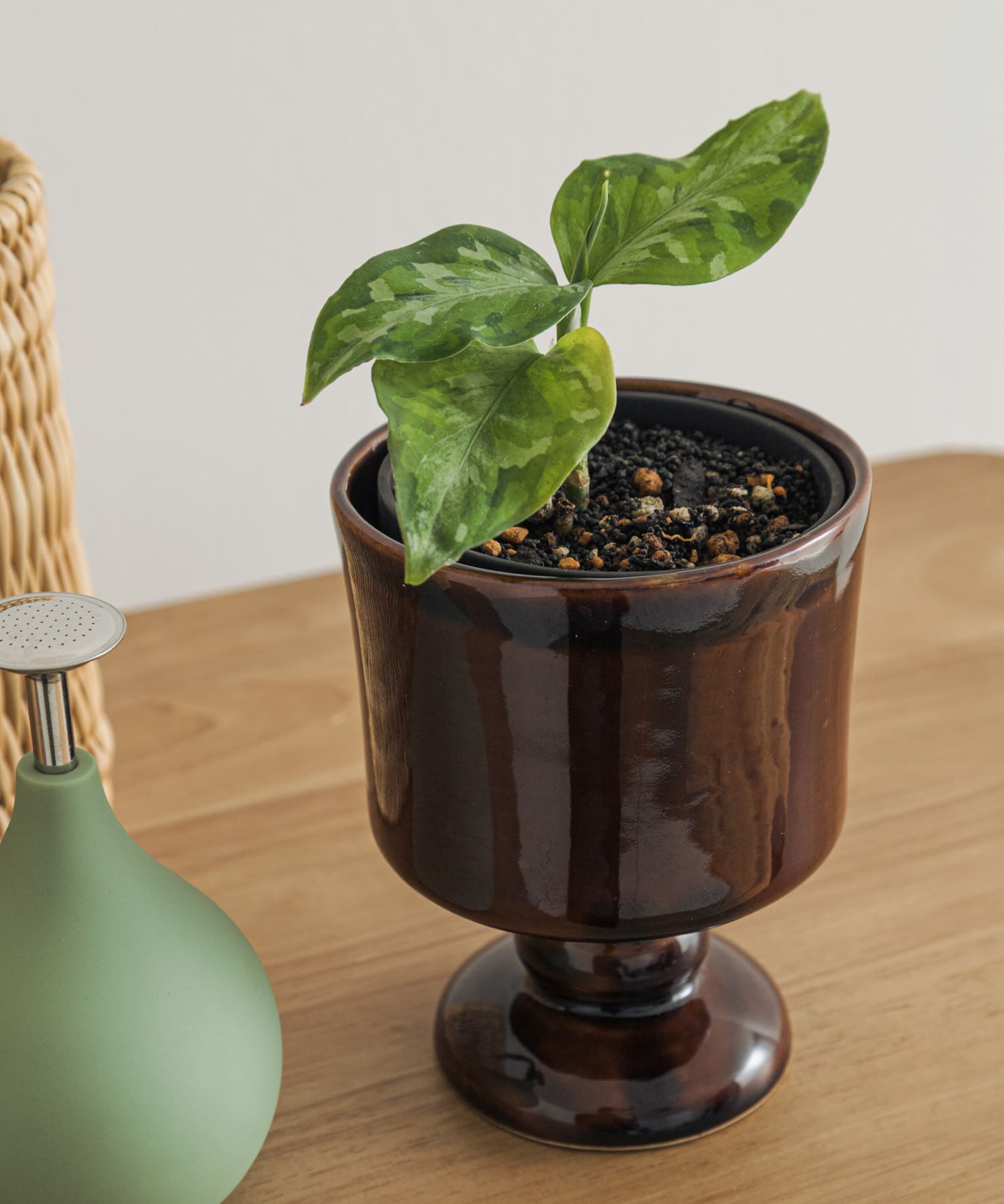 Creer　シナリースタンドポット BR － -