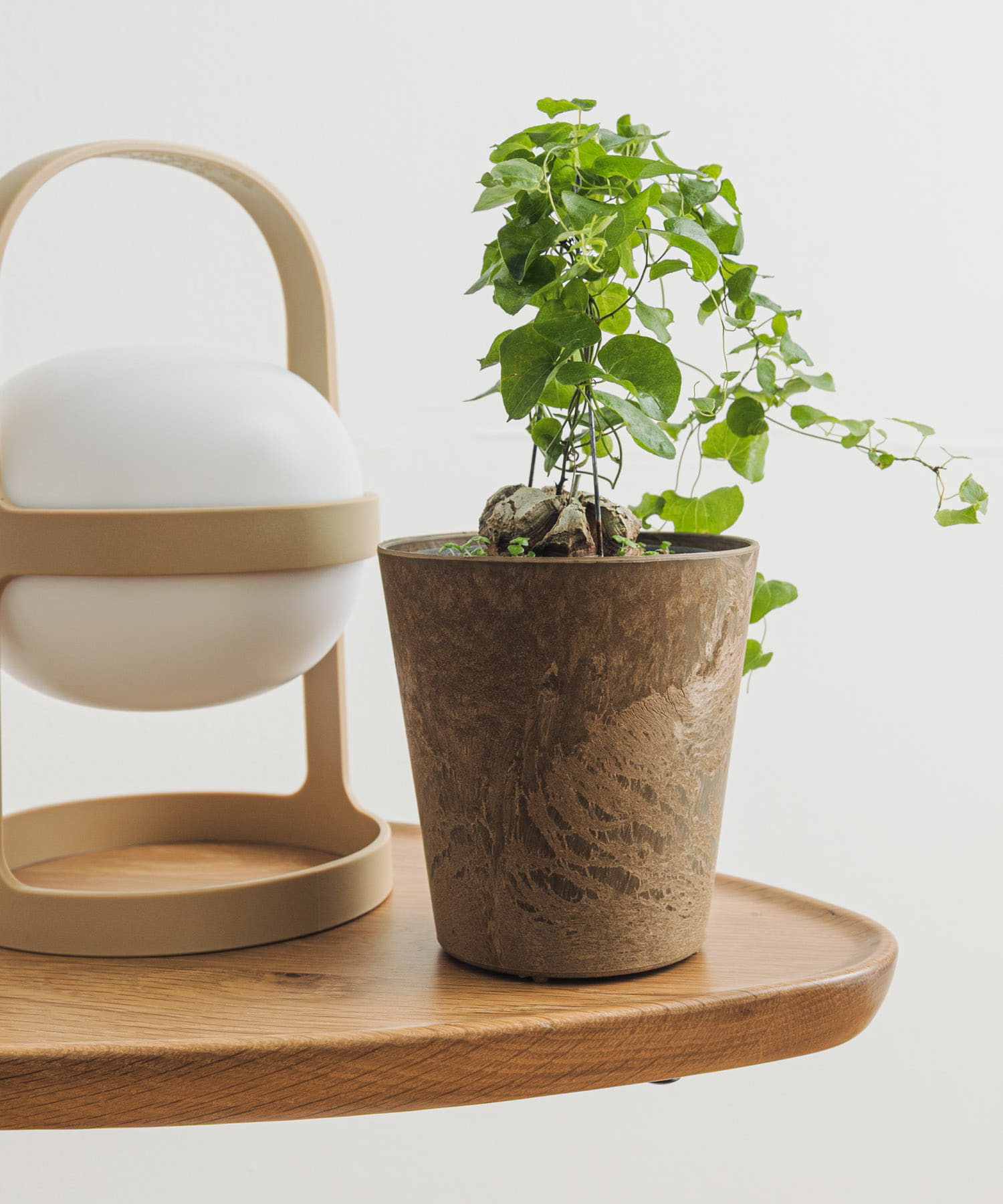 amabro　ART STONE SSS BR BR XXS