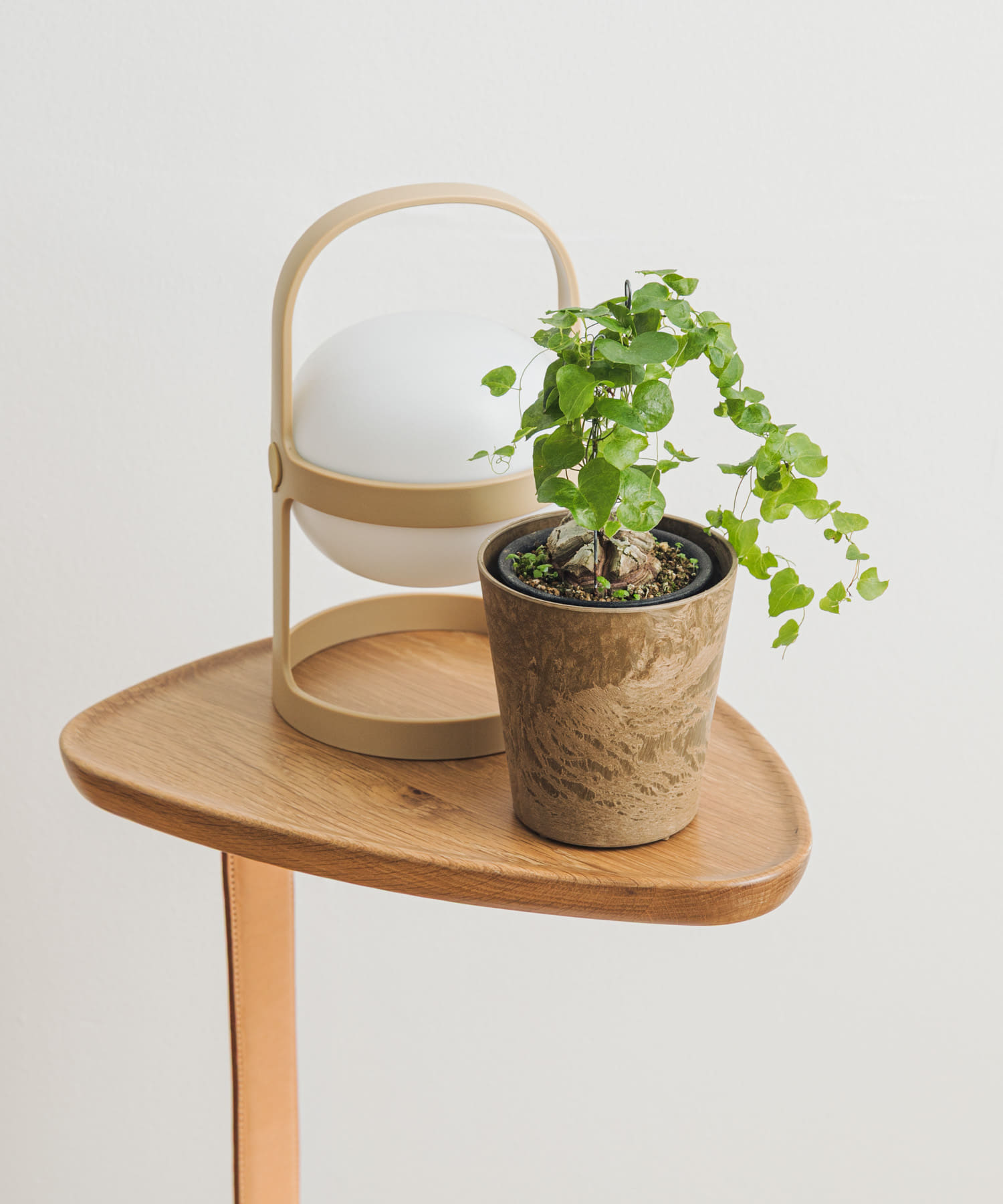 amabro　ART STONE SSS BR BR XXS