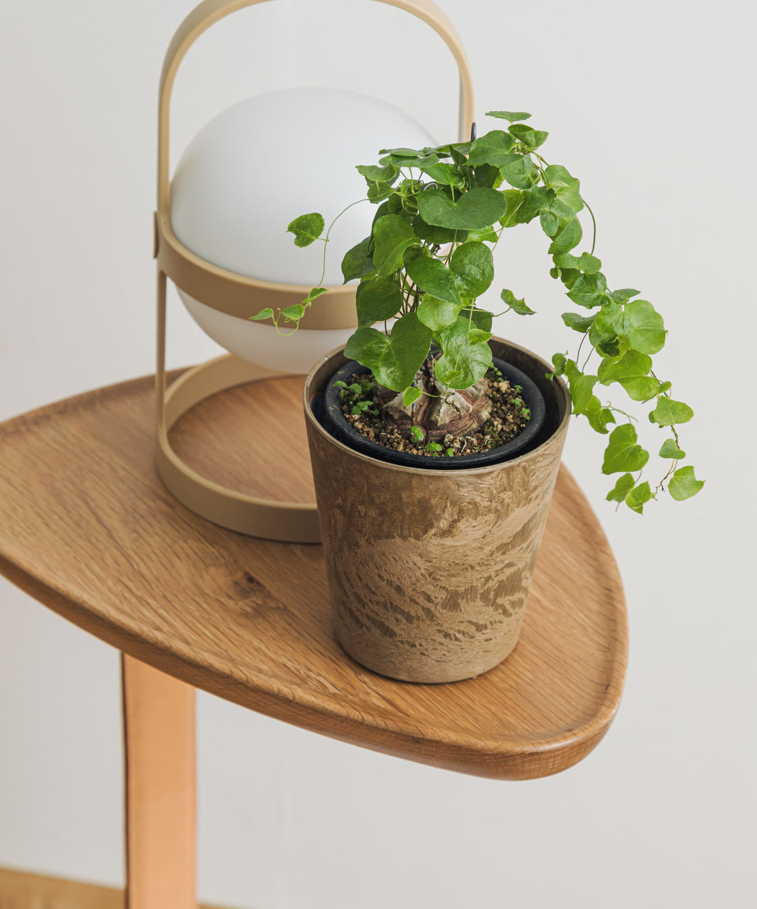 amabro　ART STONE SSS BR BR XXS