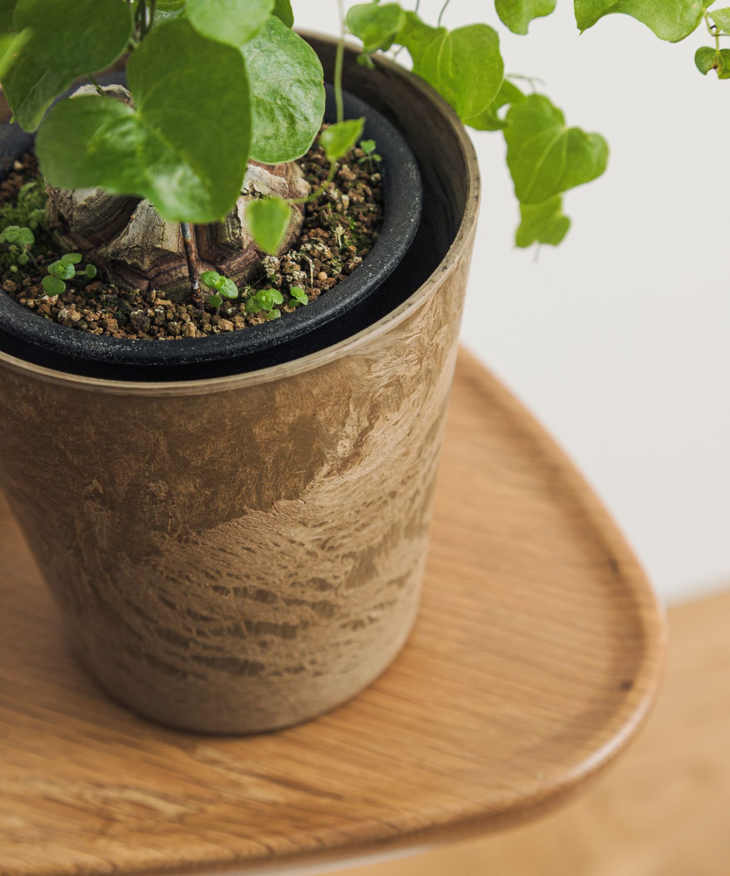 amabro　ART STONE SSS BR BR XXS