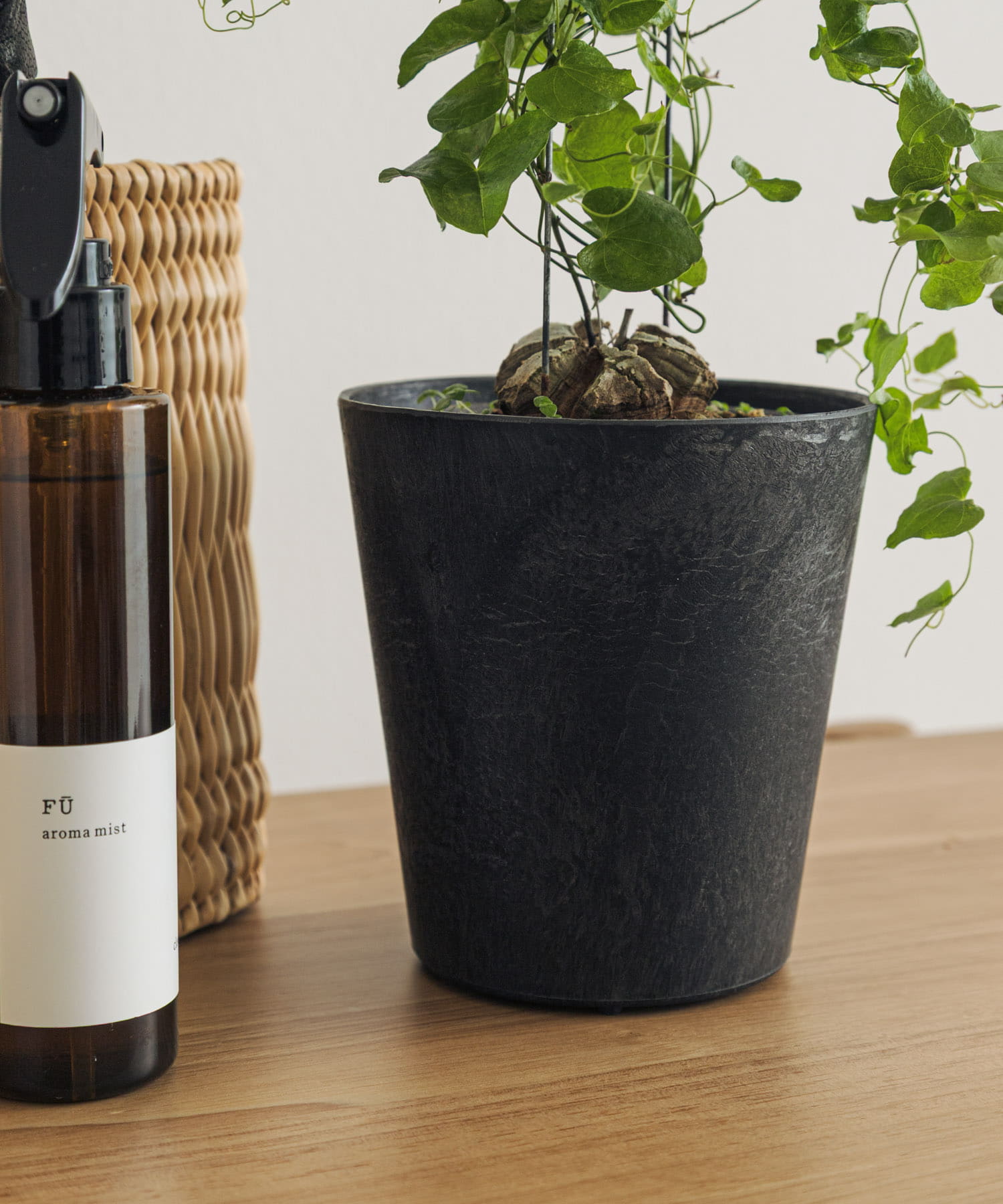 amabro　ART STONE SSS BK BK XXS