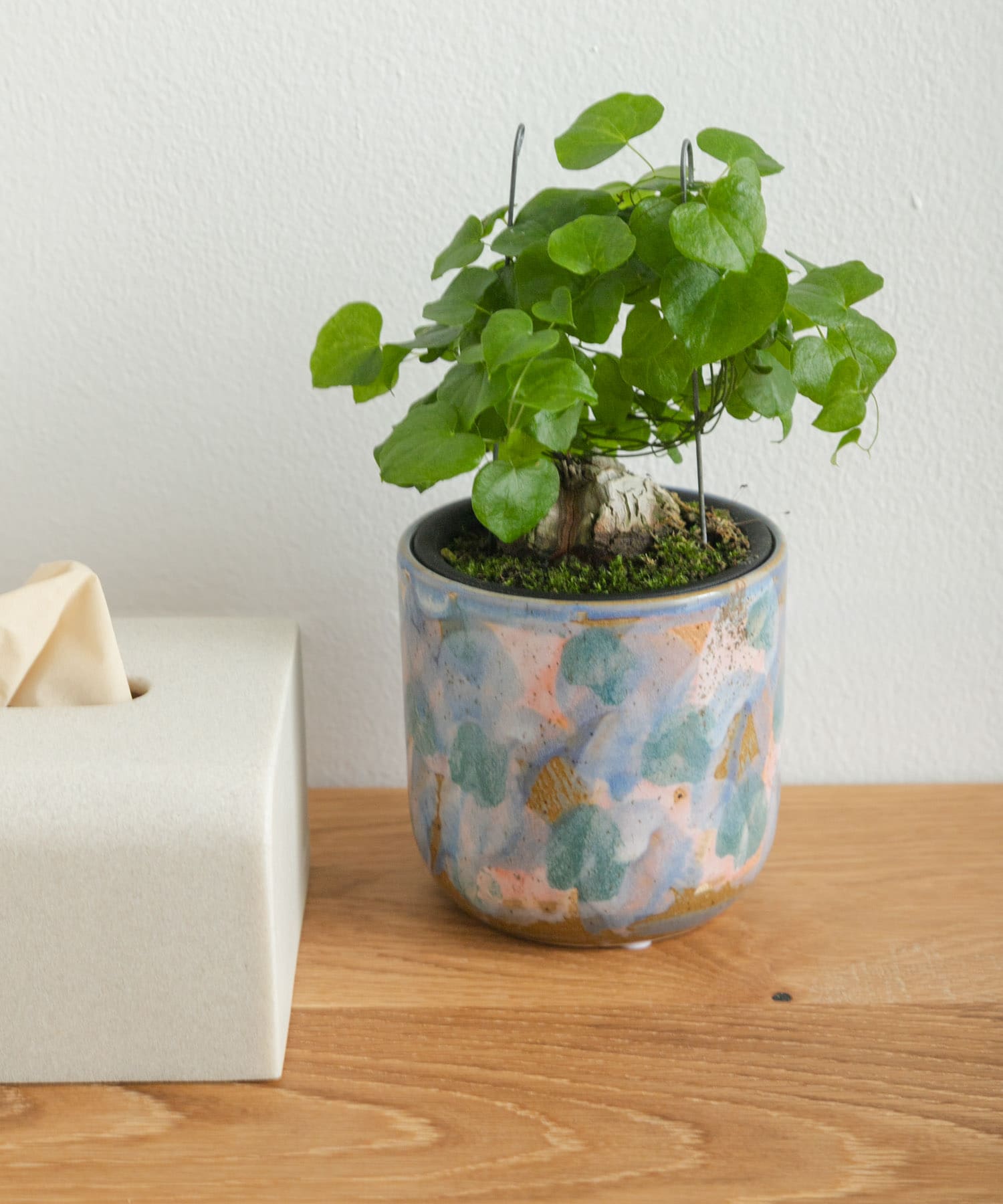 Inter Plants Net　パレット 10.5