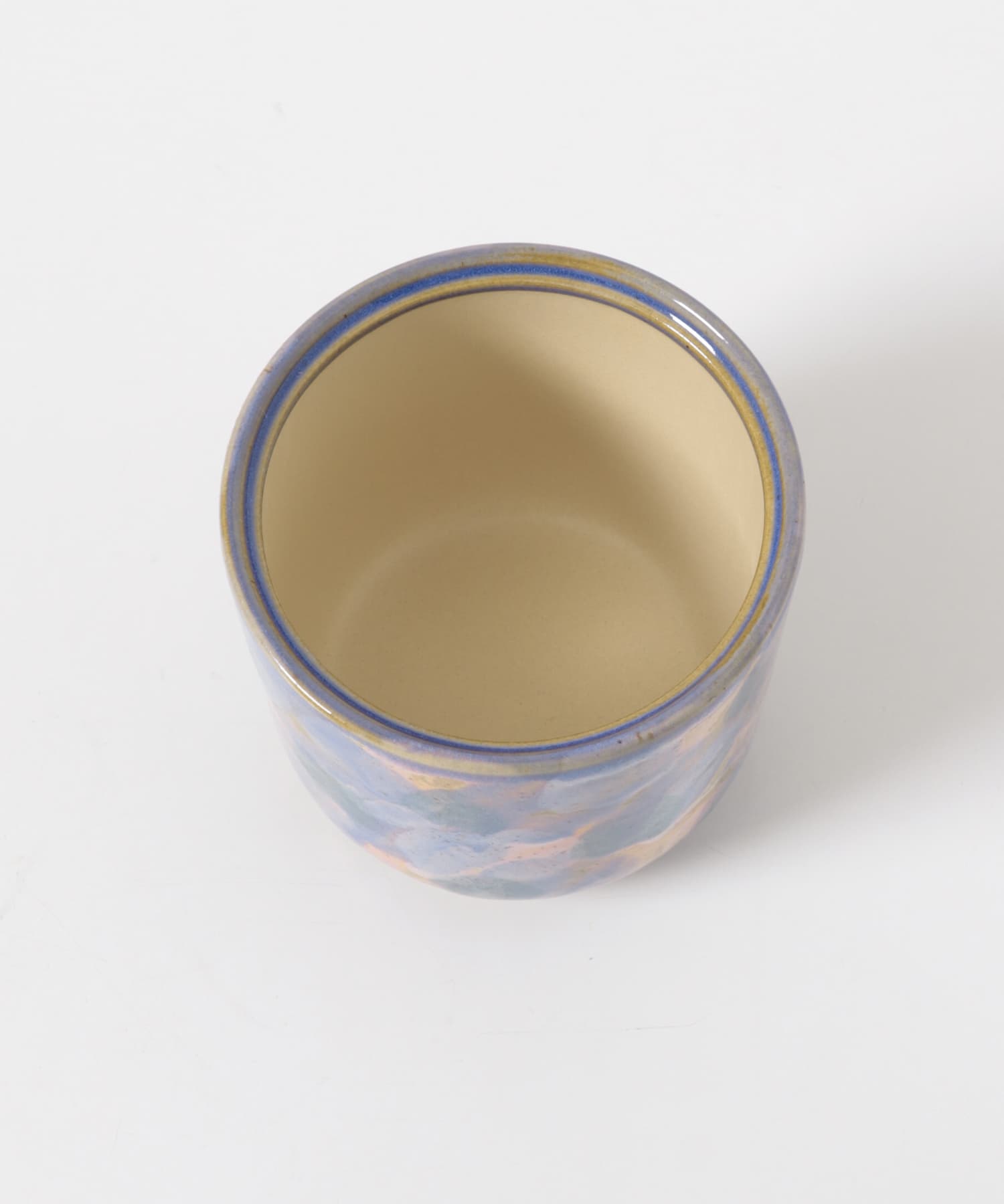 Inter Plants Net　パレット 10.5 ブルーベリー -