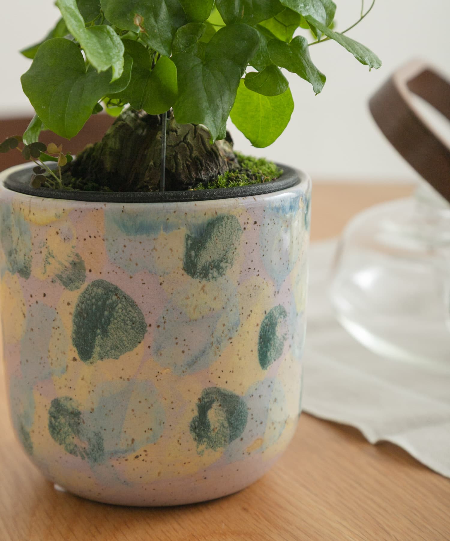 Inter Plants Net　パレット 10.5