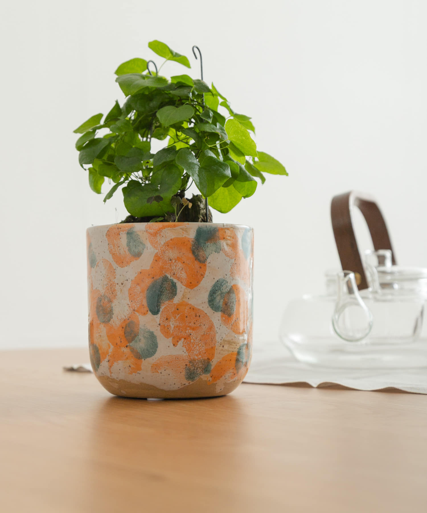 Inter Plants Net　パレット 10.5