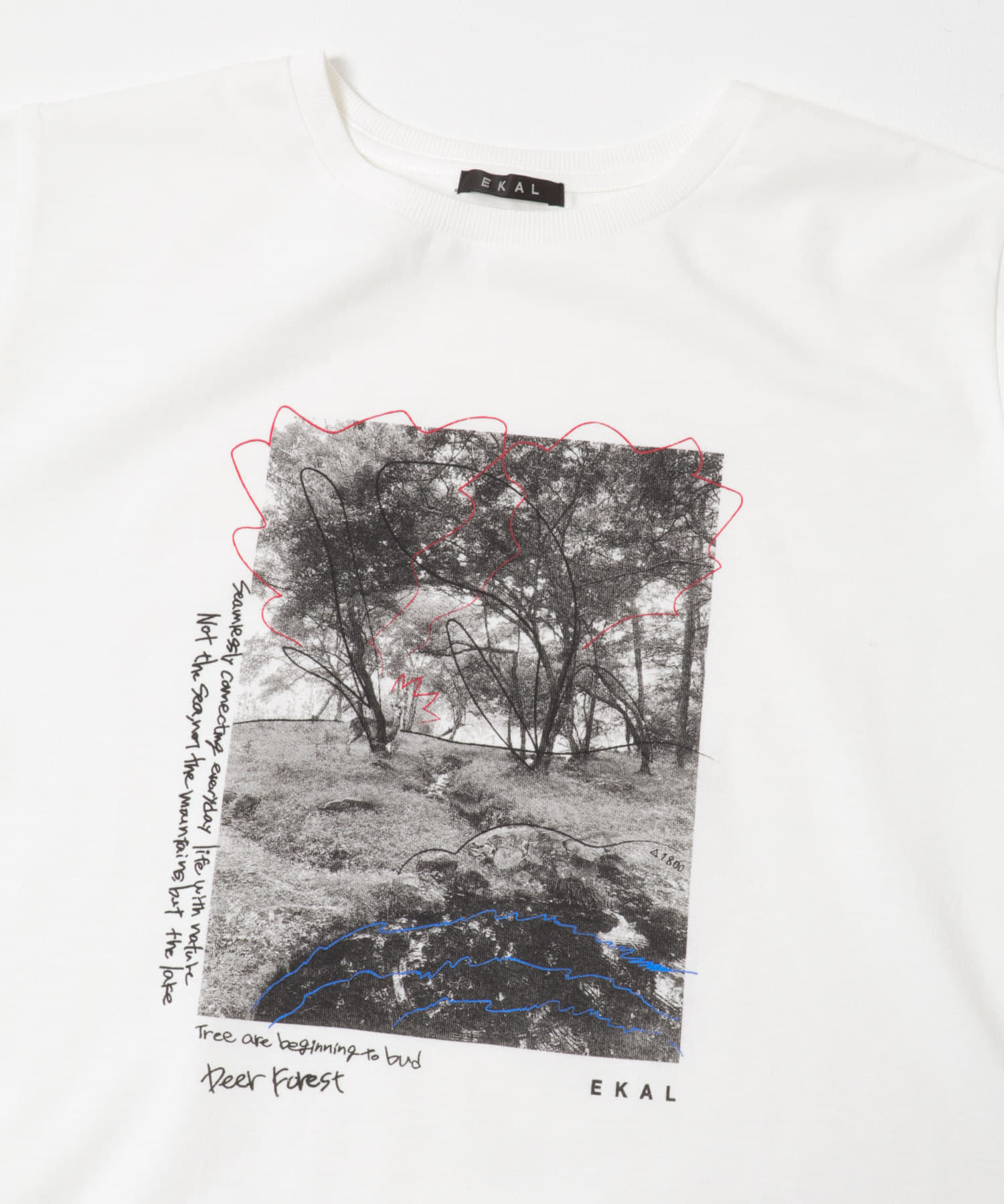 フォトプリントショートスリーブTシャツ ホワイト One